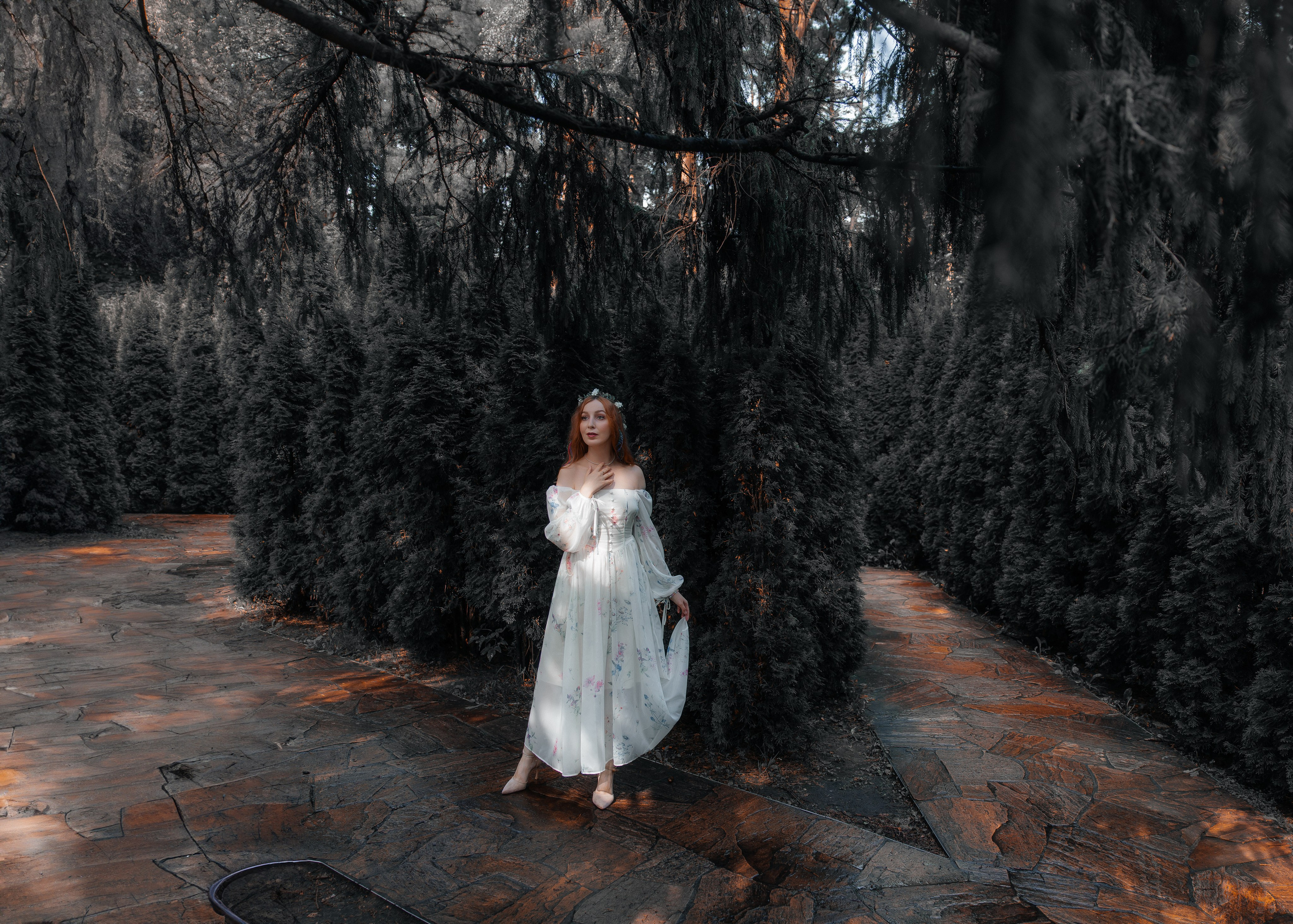 ELENA. Shamirov Arkadiy