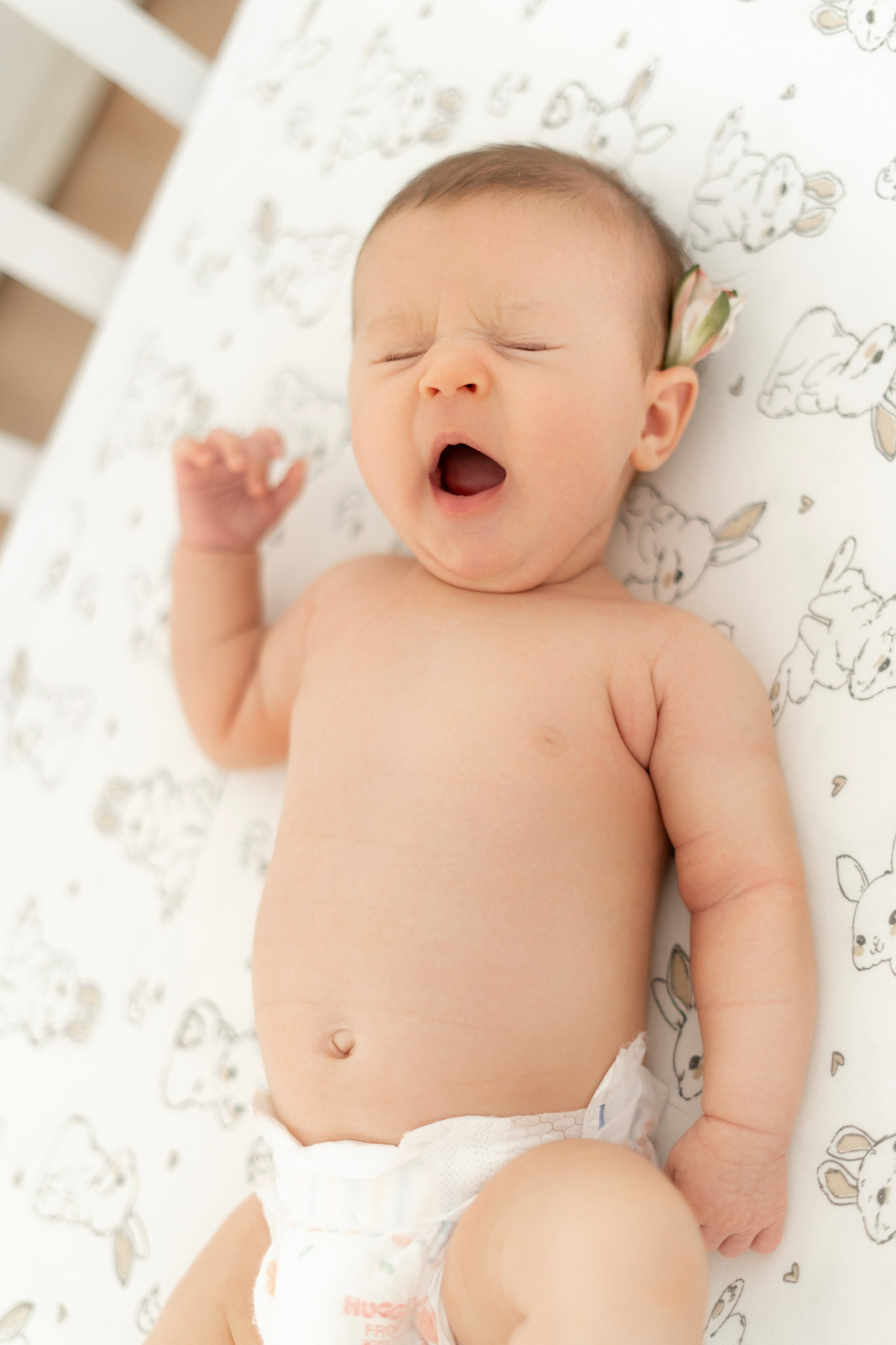 АНГЕЛОЧЕК МИЛАНОЧКА. Фотограф Москва Екатерина Бондаренко