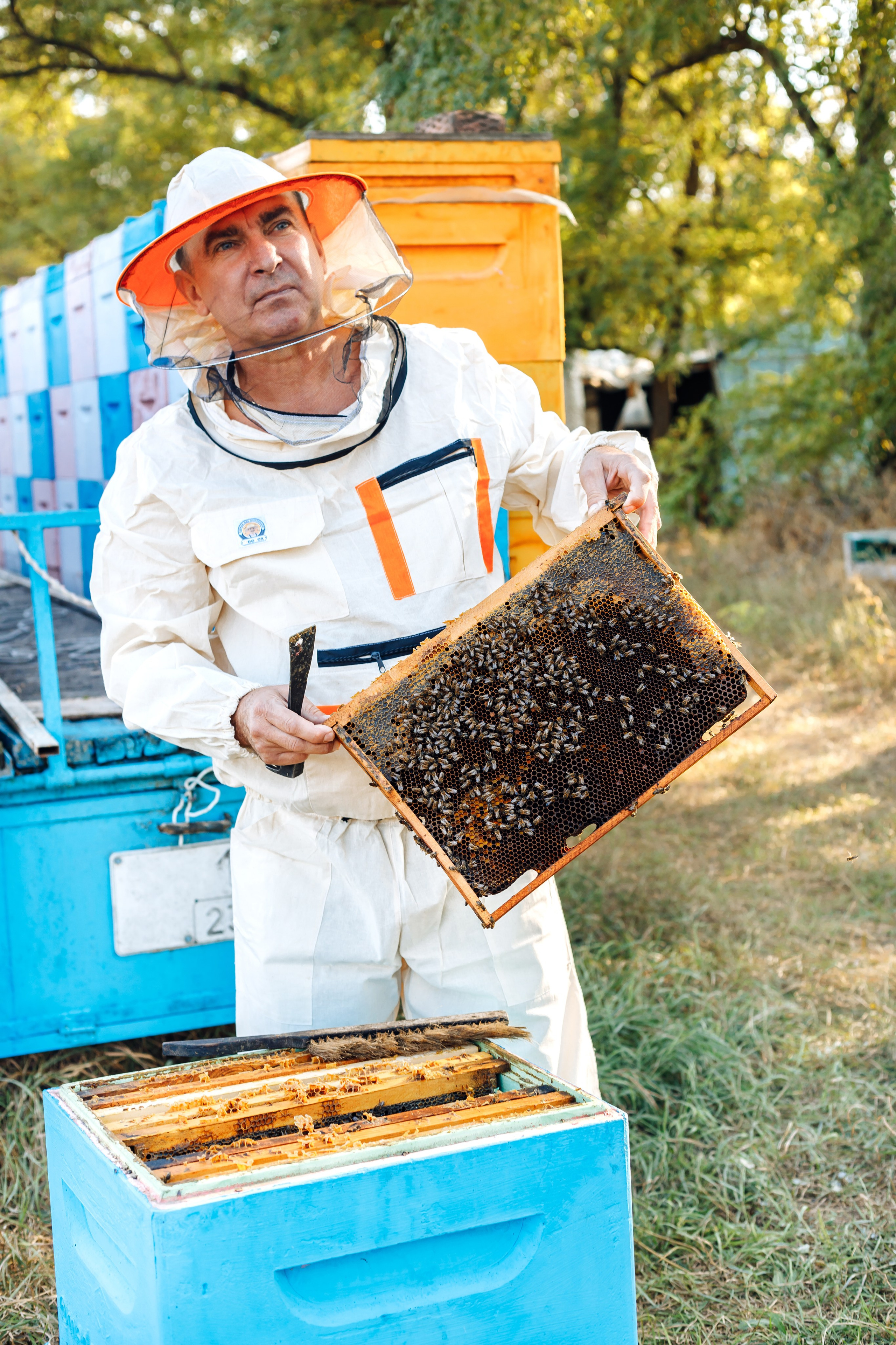 Контент фотосессия для частной пасеки. Свадебный и семейный фотограф в Краснодарском крае Мария Данилкина
