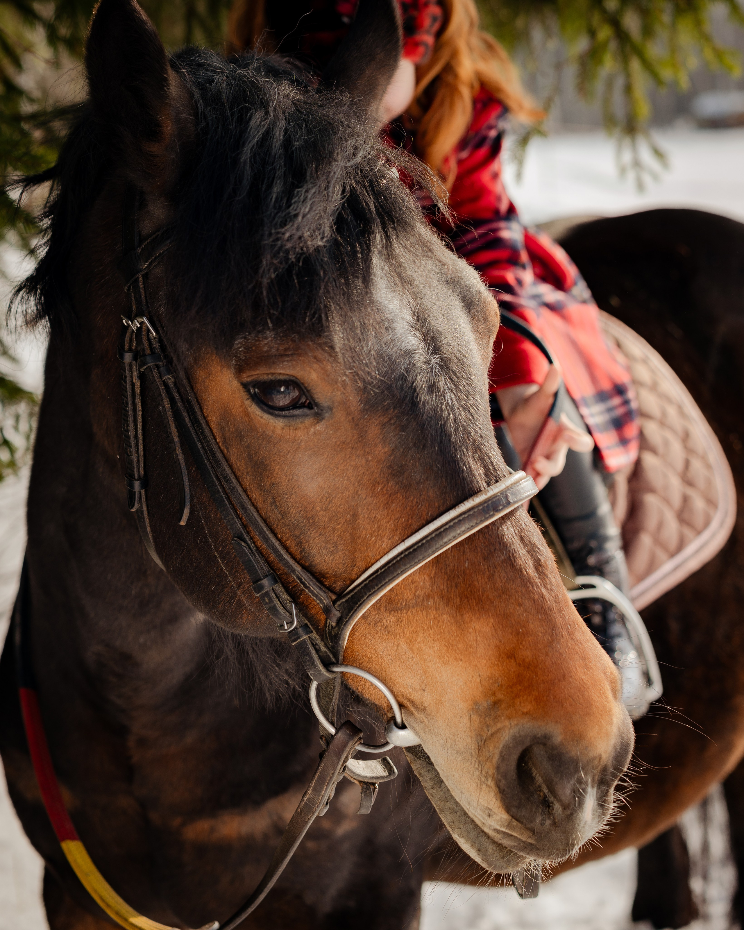 Karolina-съемка для диплома на курсе Ирины Заргано. Портретный и семейный фотограф в Москве/Видное