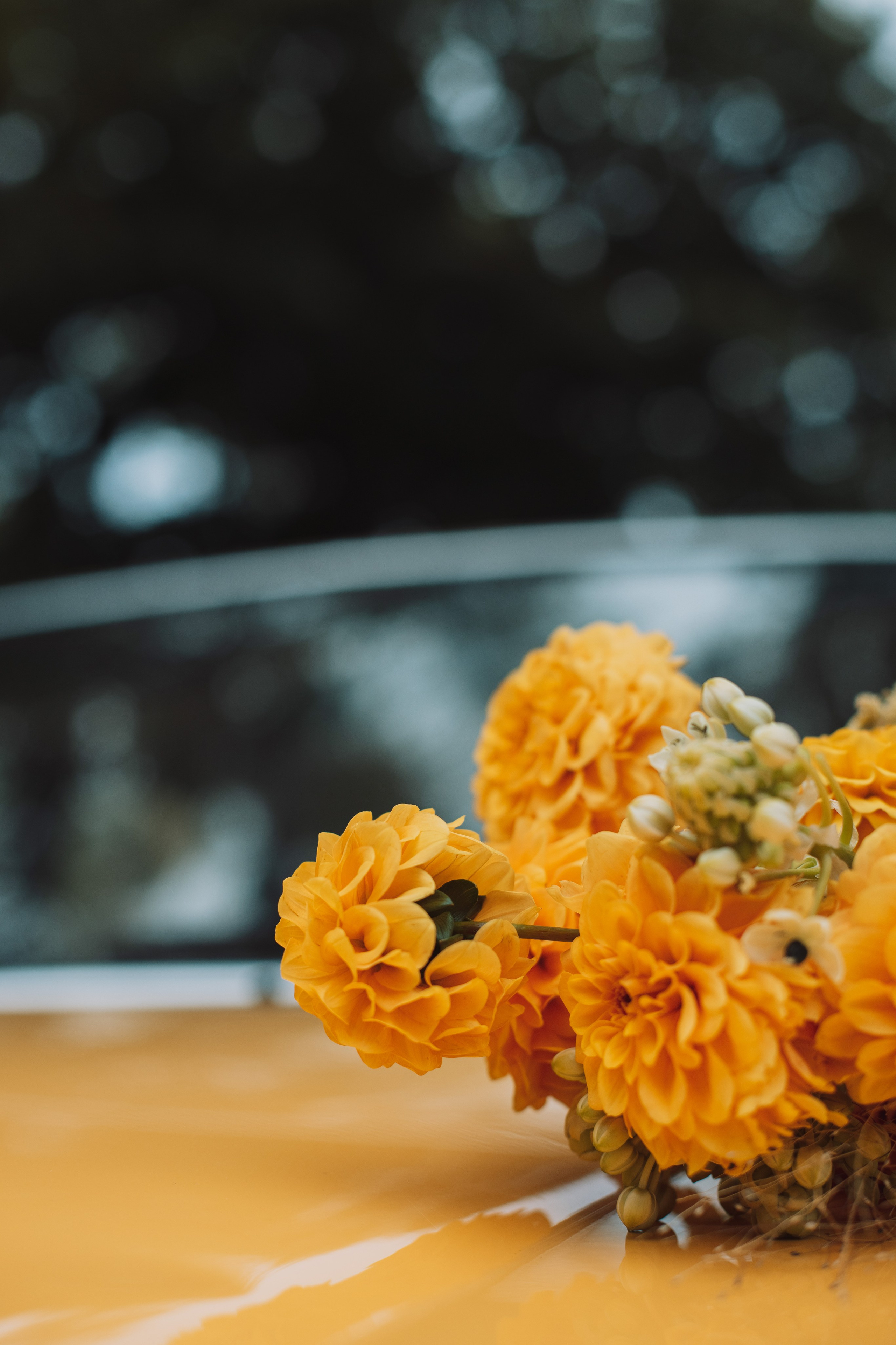 — Кисло?! — Не думаю…. Нияз Саляхов фотограф Казань Татарстан