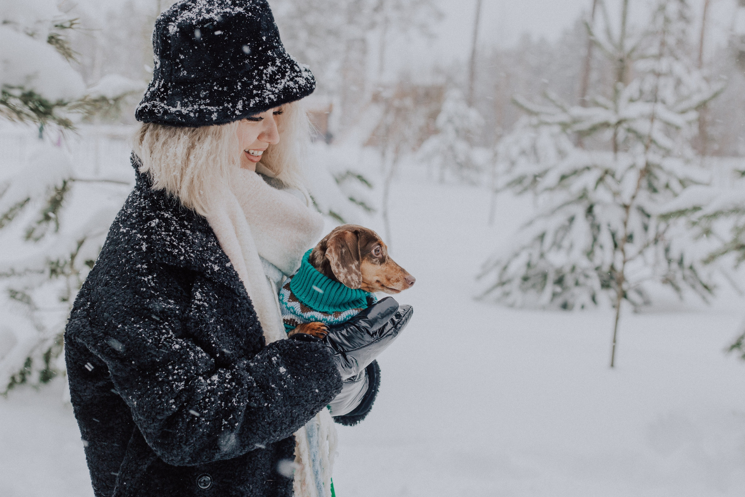Winter. «A pet». Фотограф Москва / Балашиха