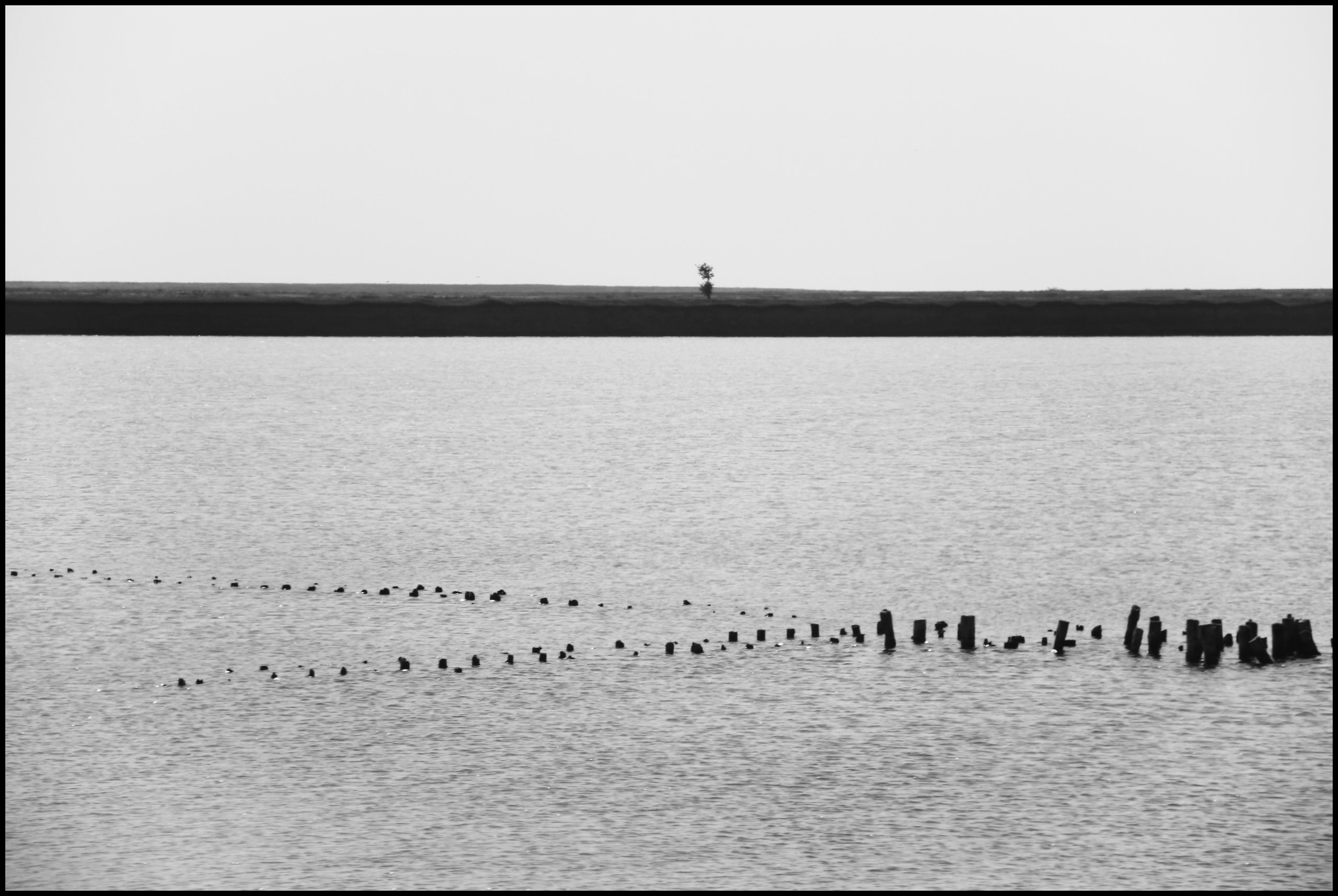 Работы. Свадебный фотограф в Москве Сафонова Анна