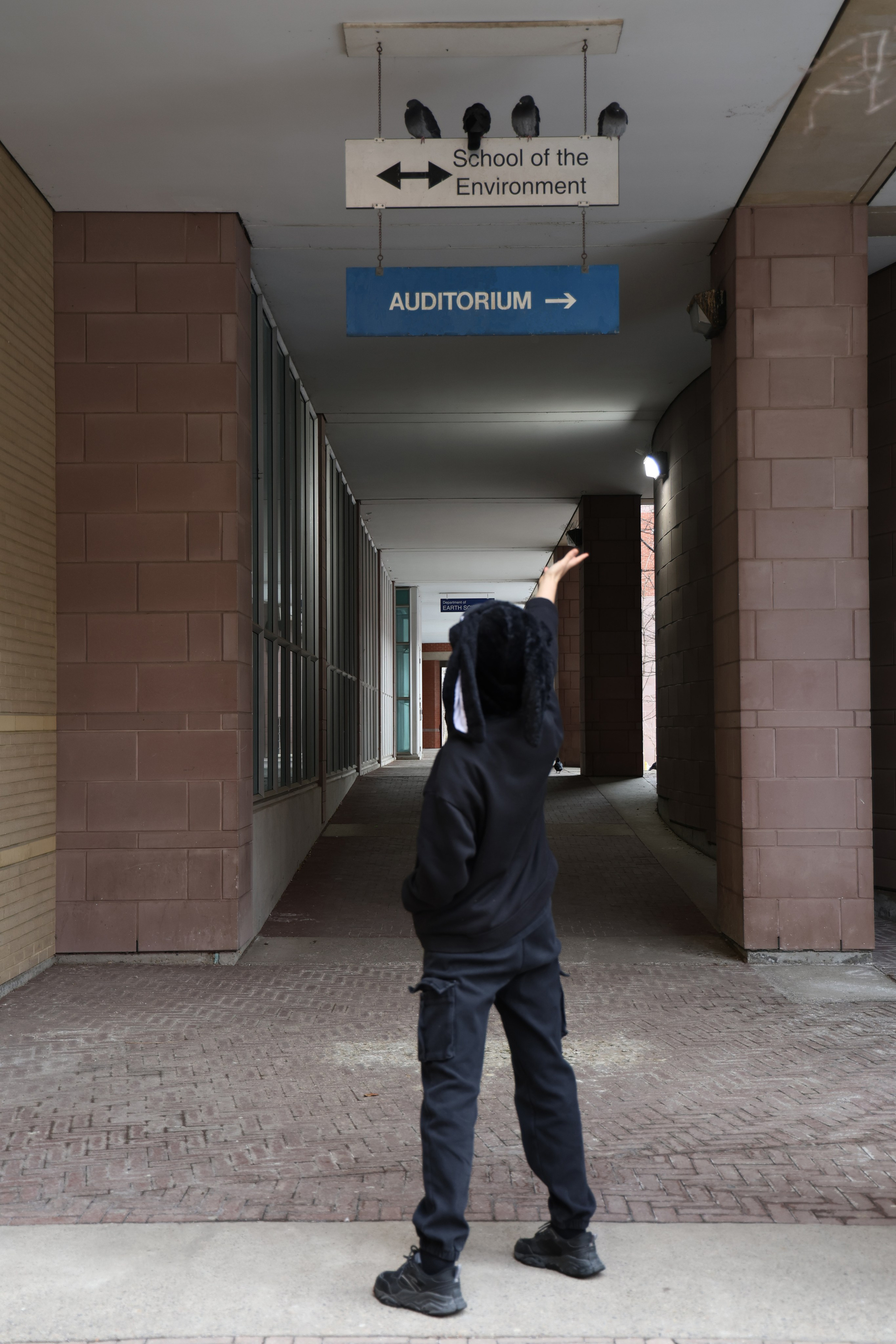 Rabbit. Portrait photographer based in Toronto — Blinova Mariia