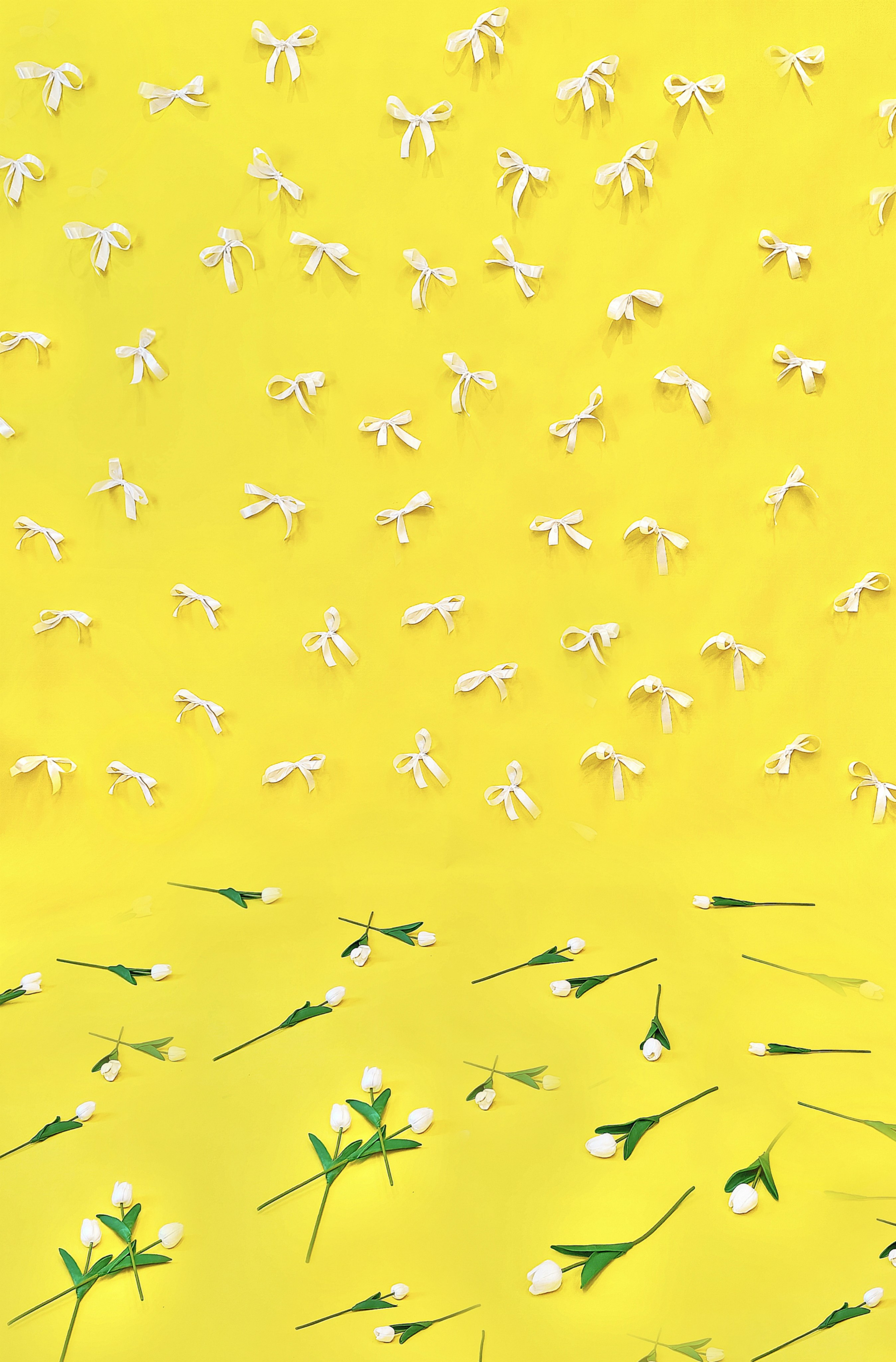 F7.0 фотостудия