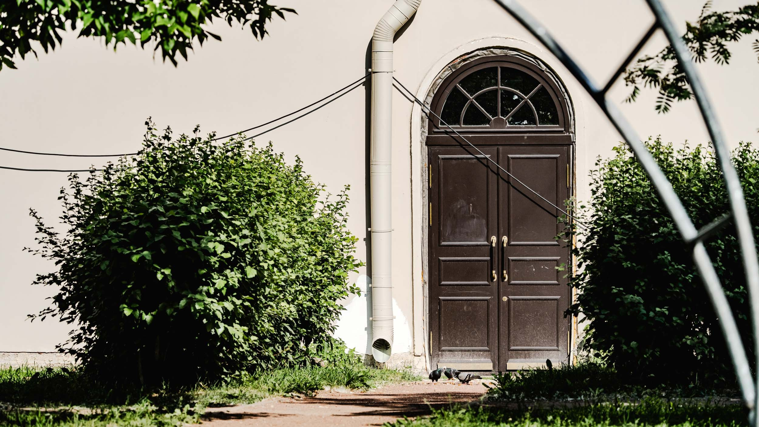 Saint Petersburg. The Andris