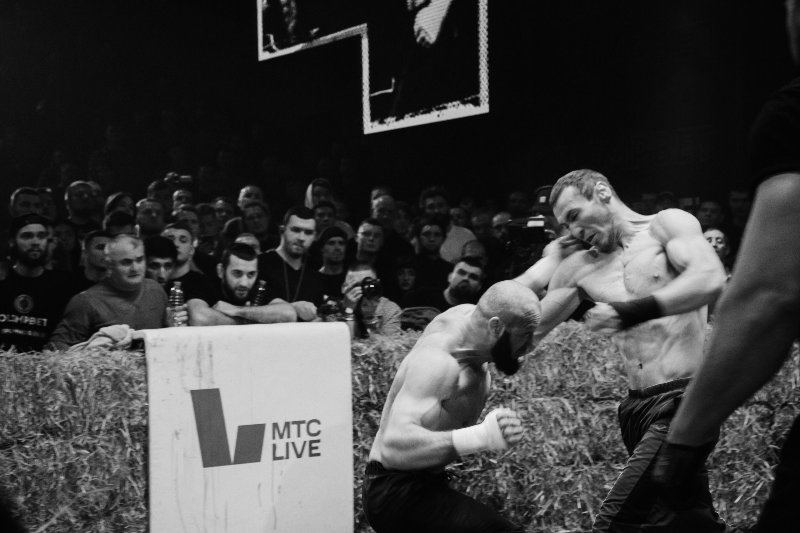 Кулачные бои TopDog. Анастасия Тен