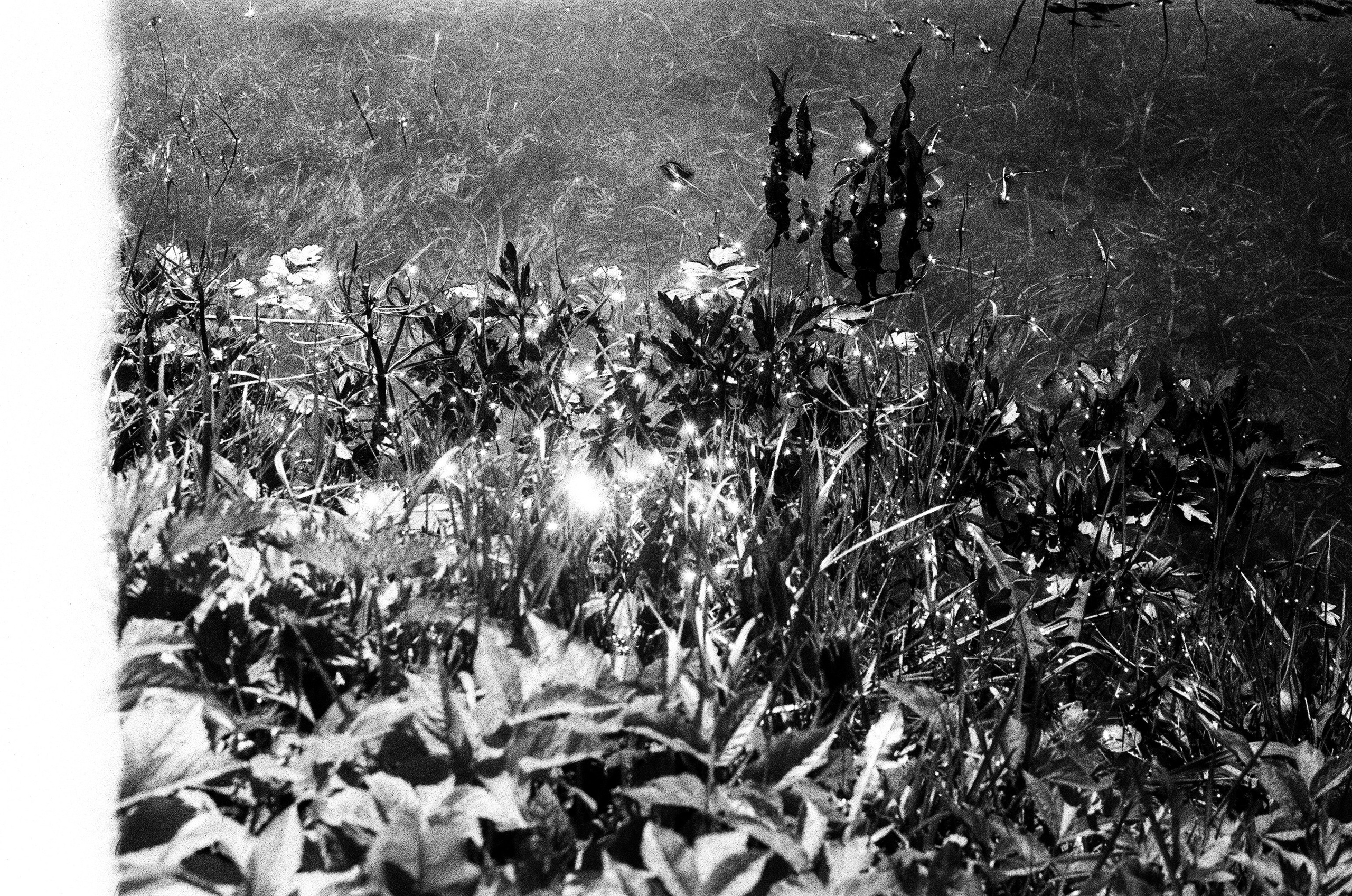 Осташков, Москва, Петербург. Юля Мурашова портретный и документальный фотограф