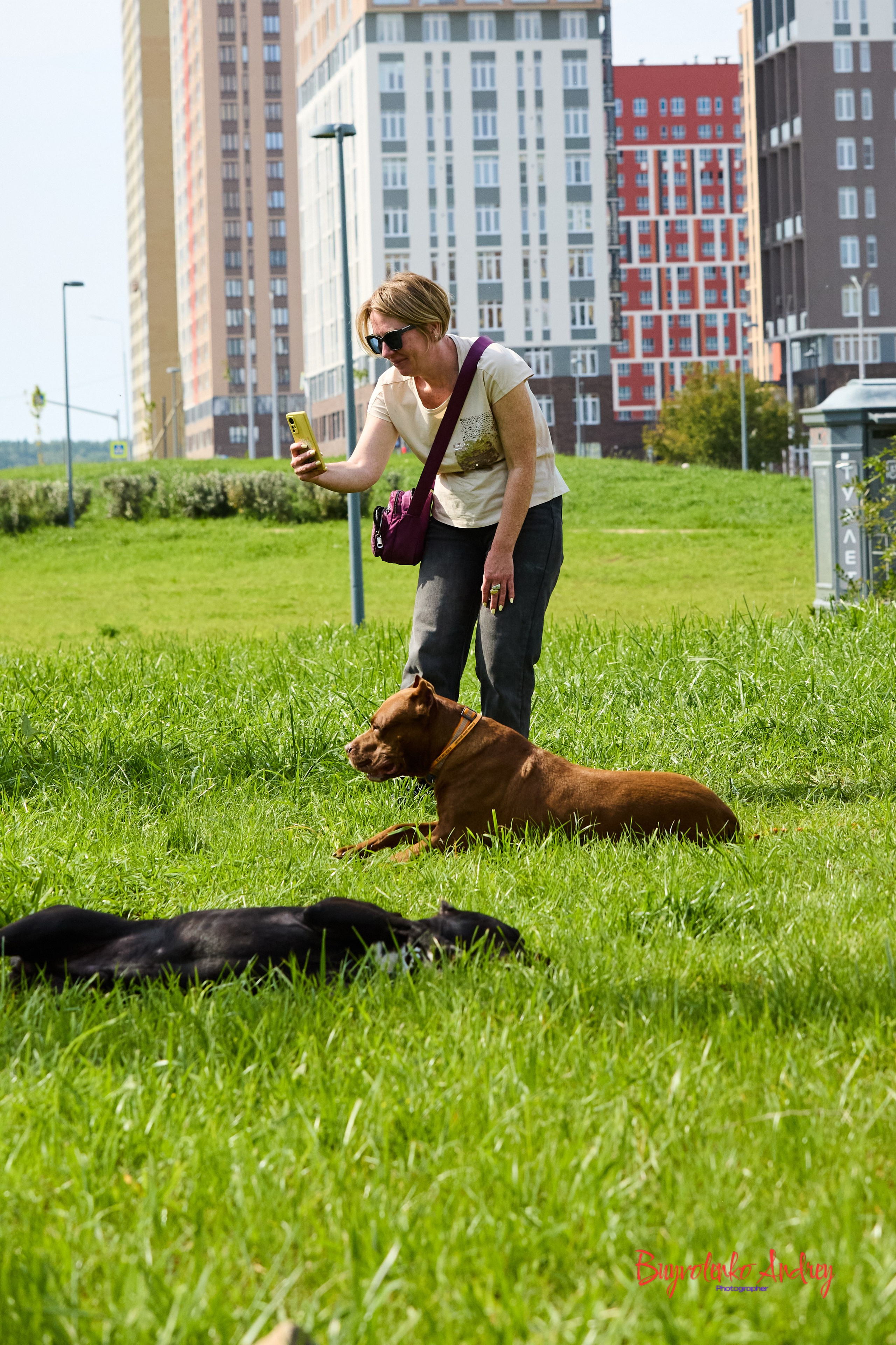 Проект фотопрогулка с хвостиком. Buyvolenko Andrey