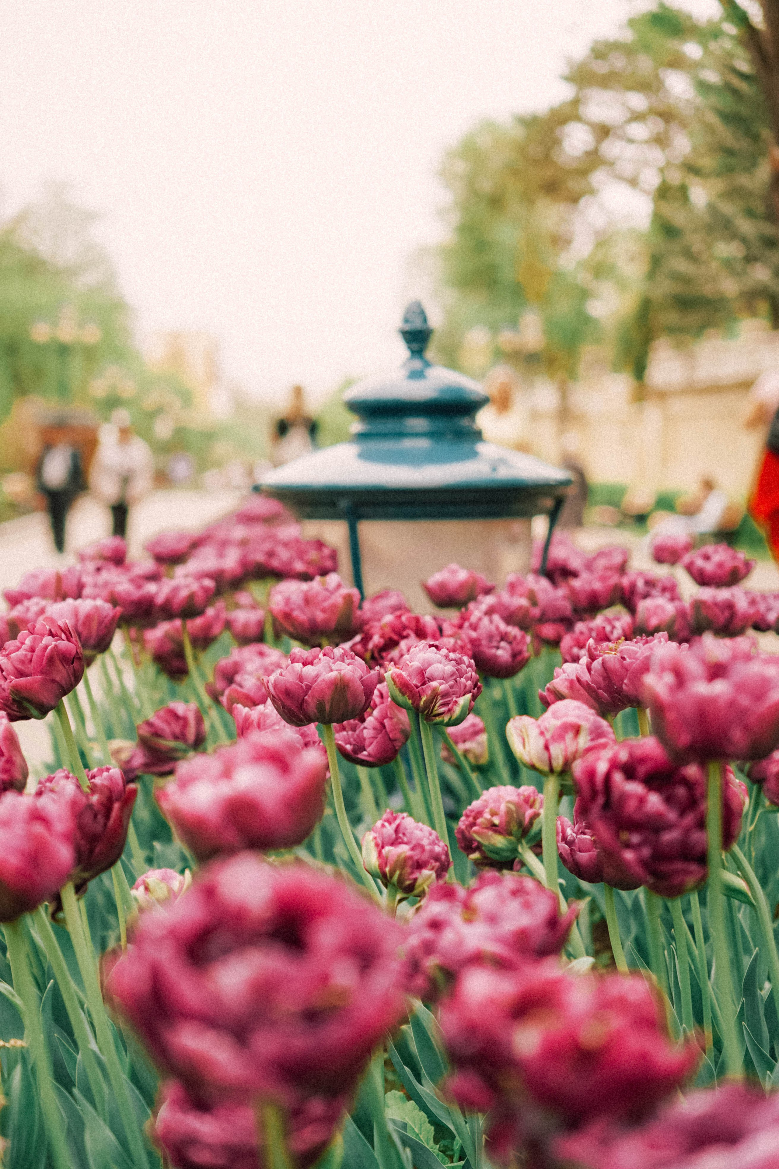 КИСЛОВОДСК. Профессиональный фотограф, Санкт-Петербург — Виктория Богомолова