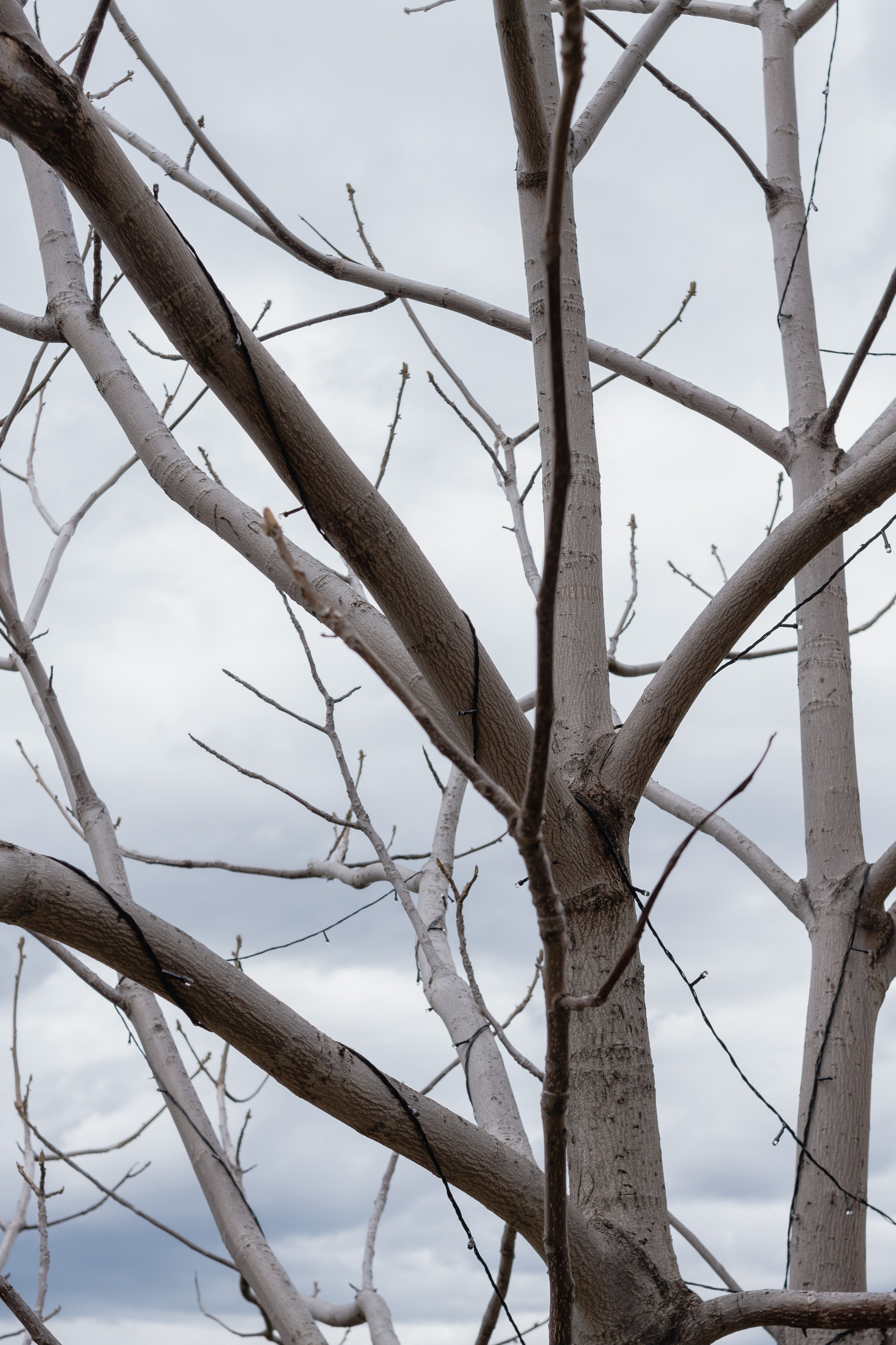 Ретрит на Байкале / Школа Ведических знаний SoVA / 7 дней, 2023. Борщевская Елизавета / фотограф Иркутск