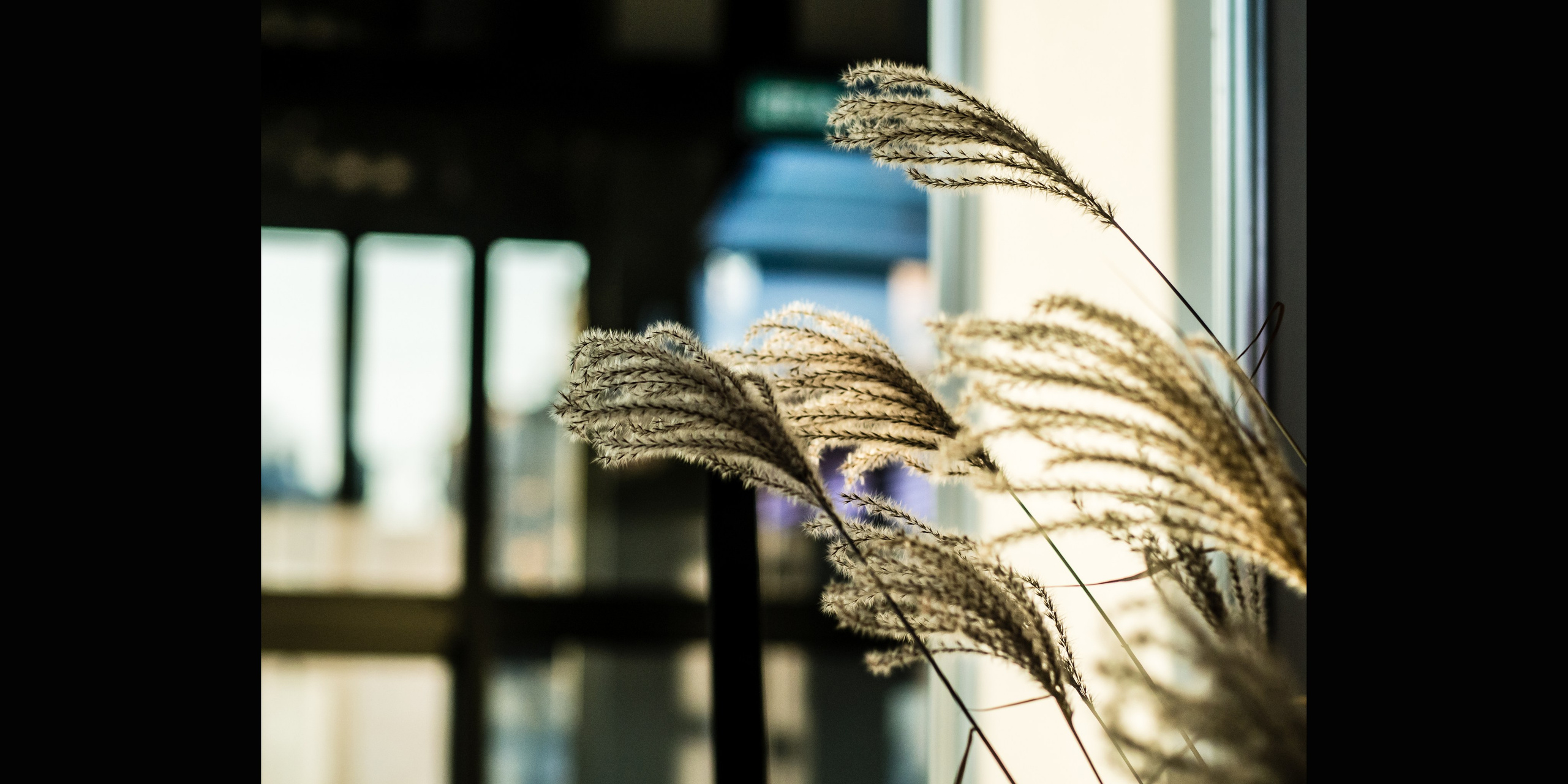 Фотограф Анна Штурман (репортажная съёмка любых событий и мероприятий) Anna Shtourman photographer