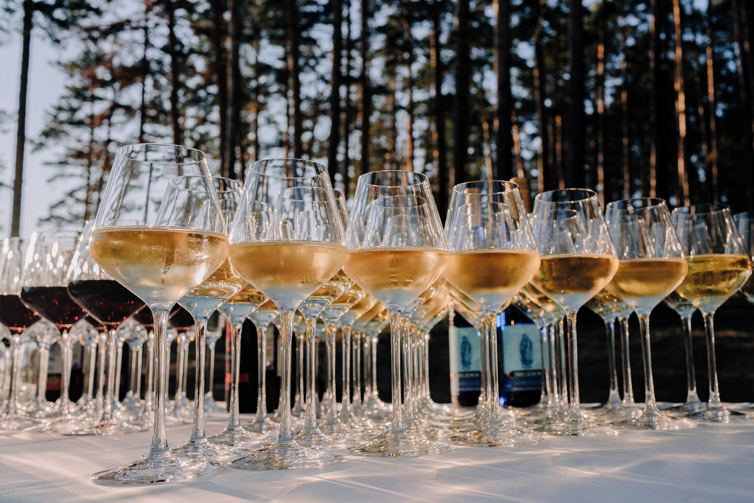 2-х ДНЕВНЫЙ КОРПОРАТИВ В СТИЛЕ ЛАГЕРНОЙ СМЕНЫ НА ТУРГОЯКЕ. Репортажный фотограф Зуев Роман г. Челябинск