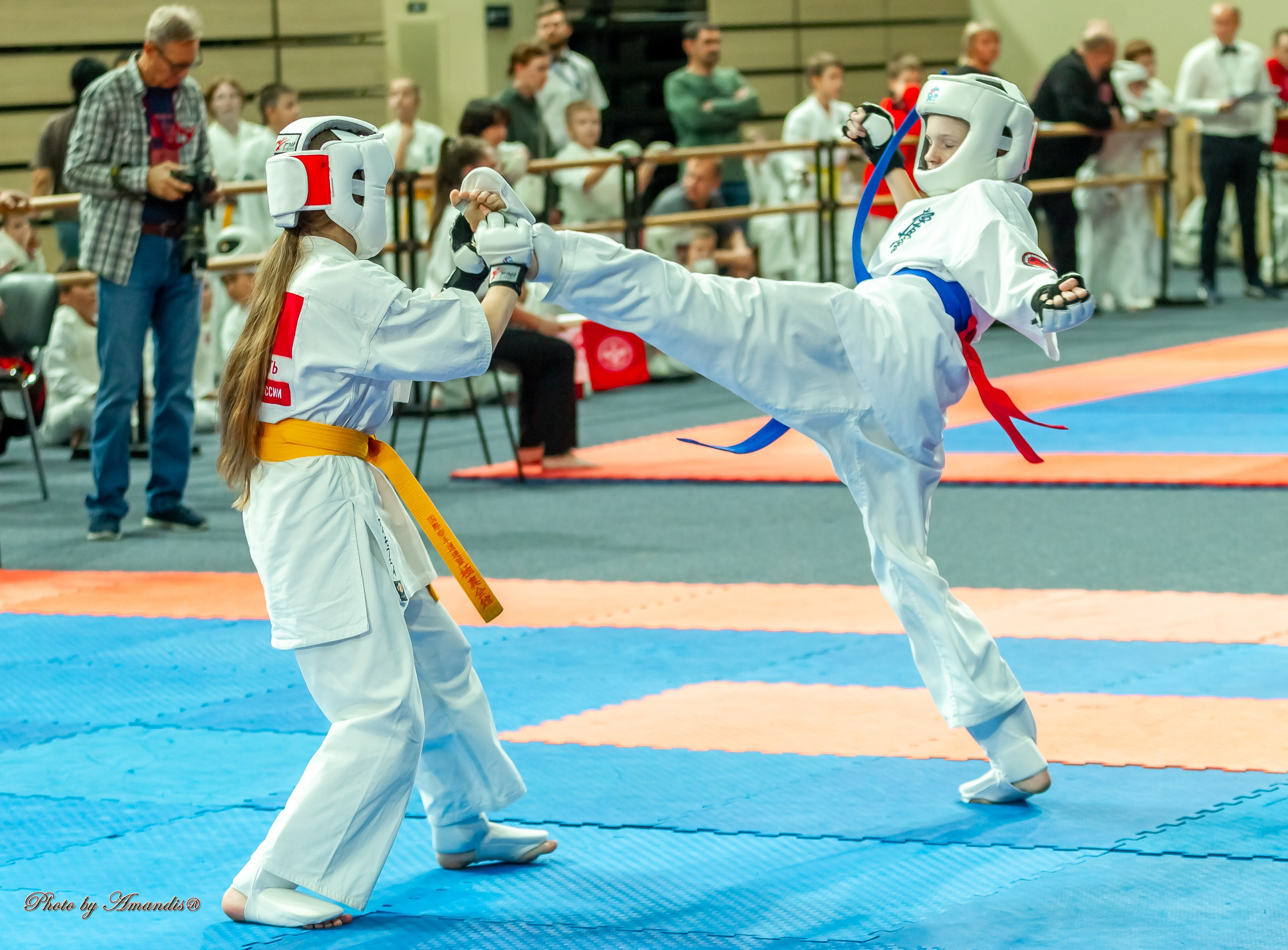 Первенство Московской области по Киокушин в СК «Жаворонки». Репортажная съемка в Москве и области. Анималистика