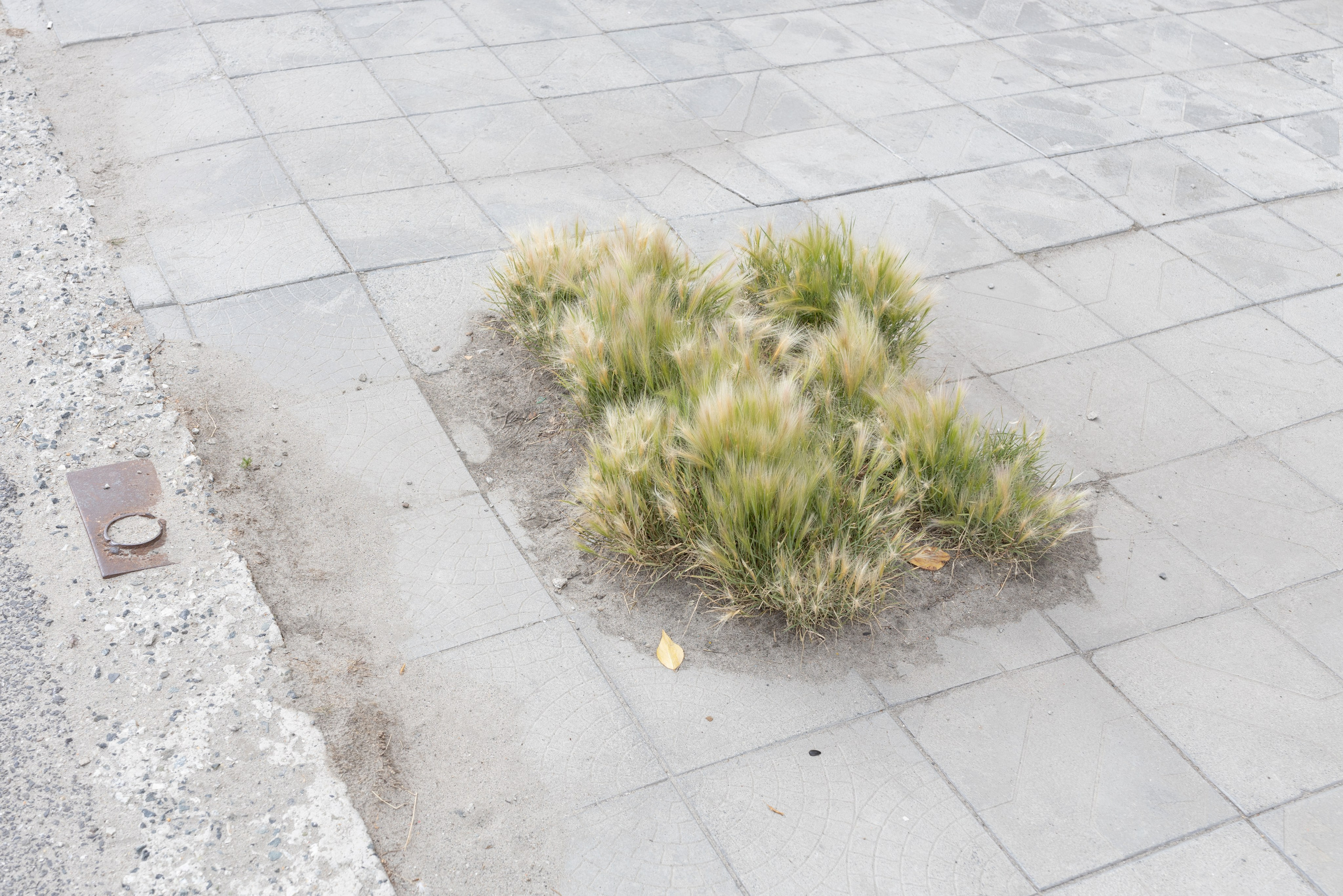 Около меня. Documentary photographer Anton Zdanovich