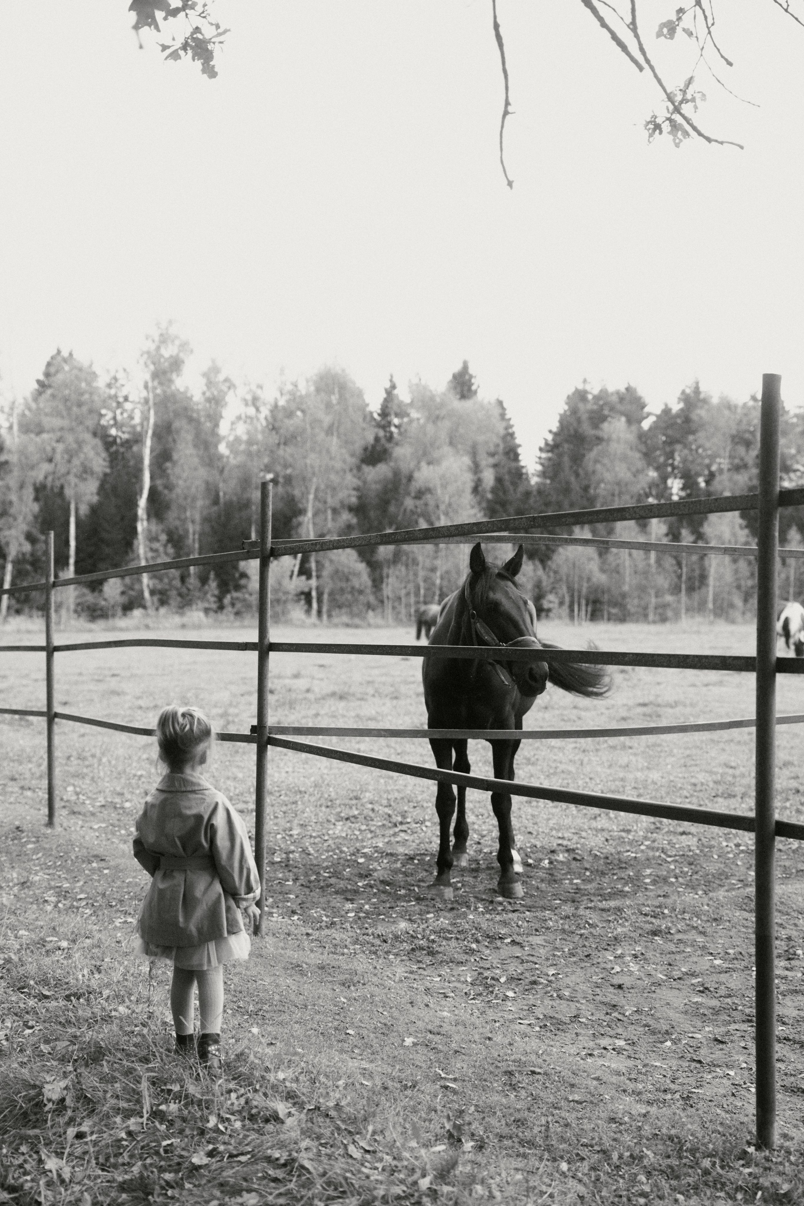 Дима + Юля + Гриша + Ариша. Семейный и детский фотограф Юлия Шох