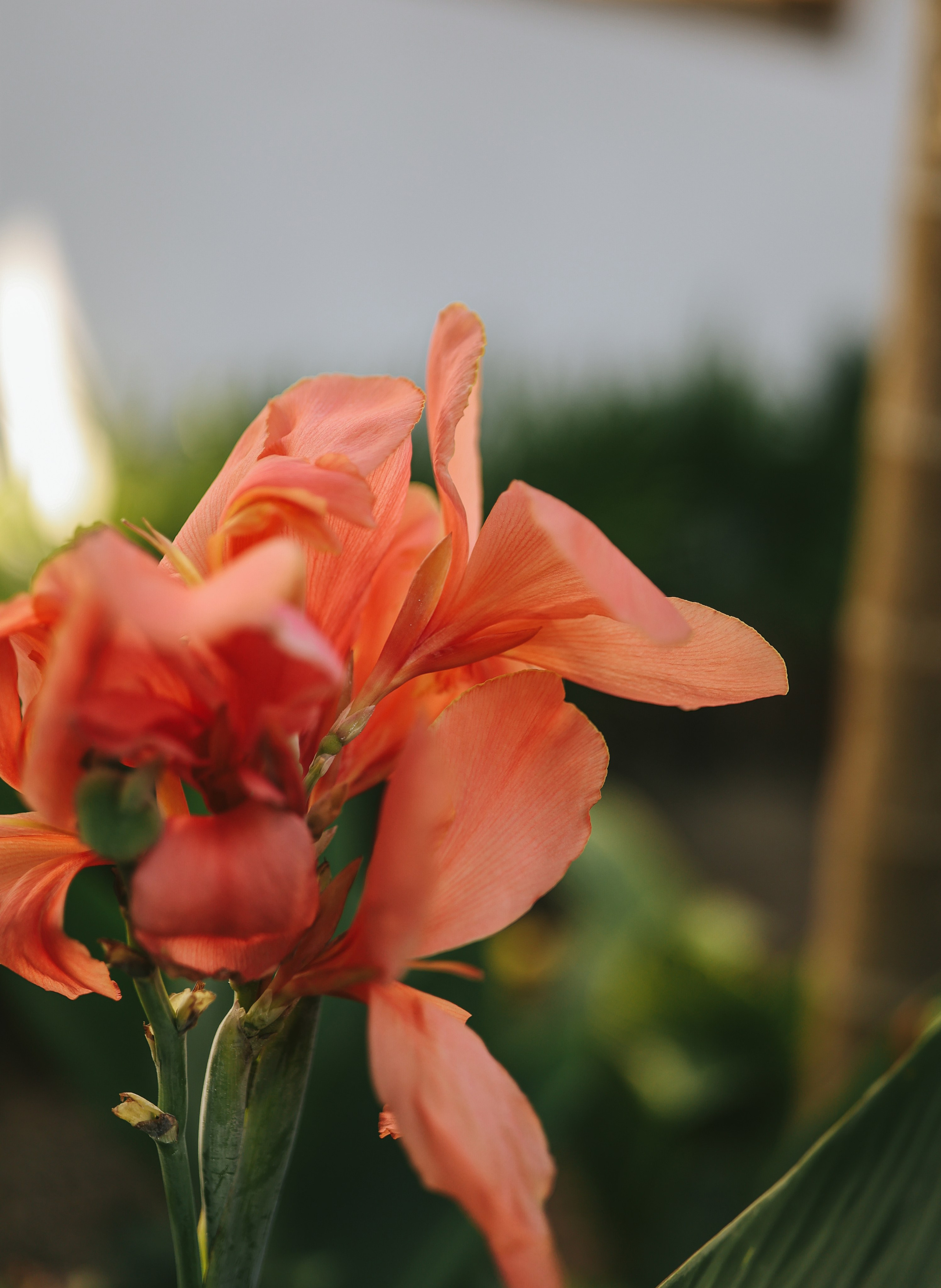 Thailand / Ban Sainai Resort. Ekaterina Buneeva Photography