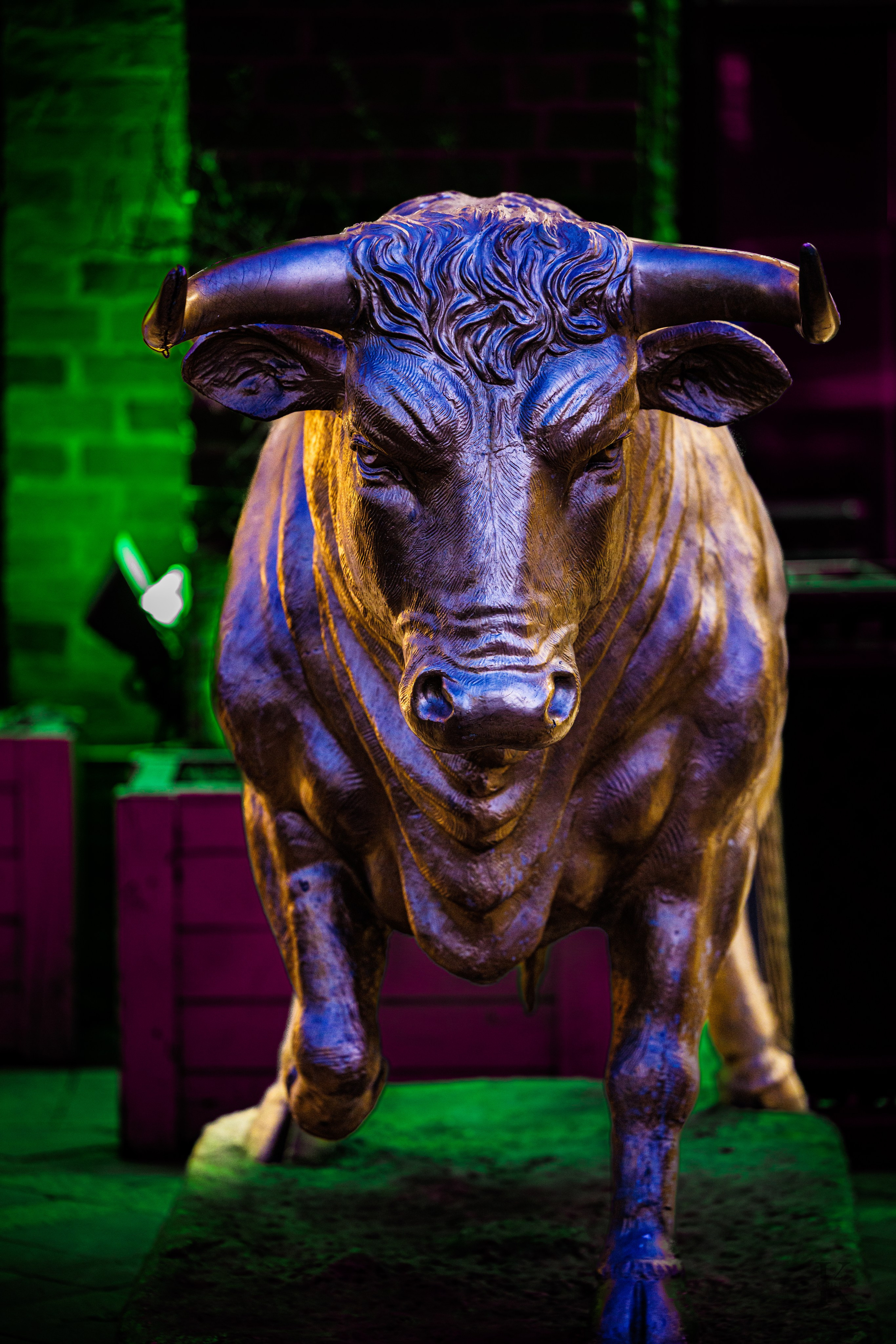 Весна в Москве 2026. Фотографирую жизнь! Московский фотограф волонтер