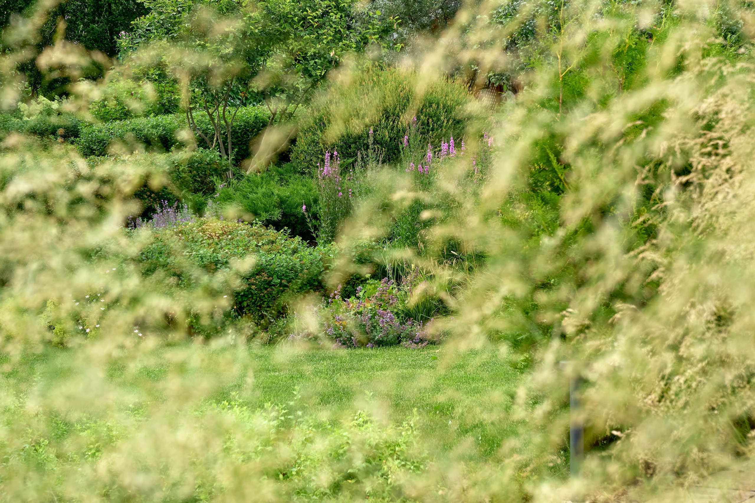 Ландшафтный и интерьерный фотограф Наталья Соловьева. Фотосъемка частного сада в&nbsp;Ломоносовском районе для ландшафтного дизайнера Анаит Акопян и&nbsp;студии ВСЕВСАД | interioto