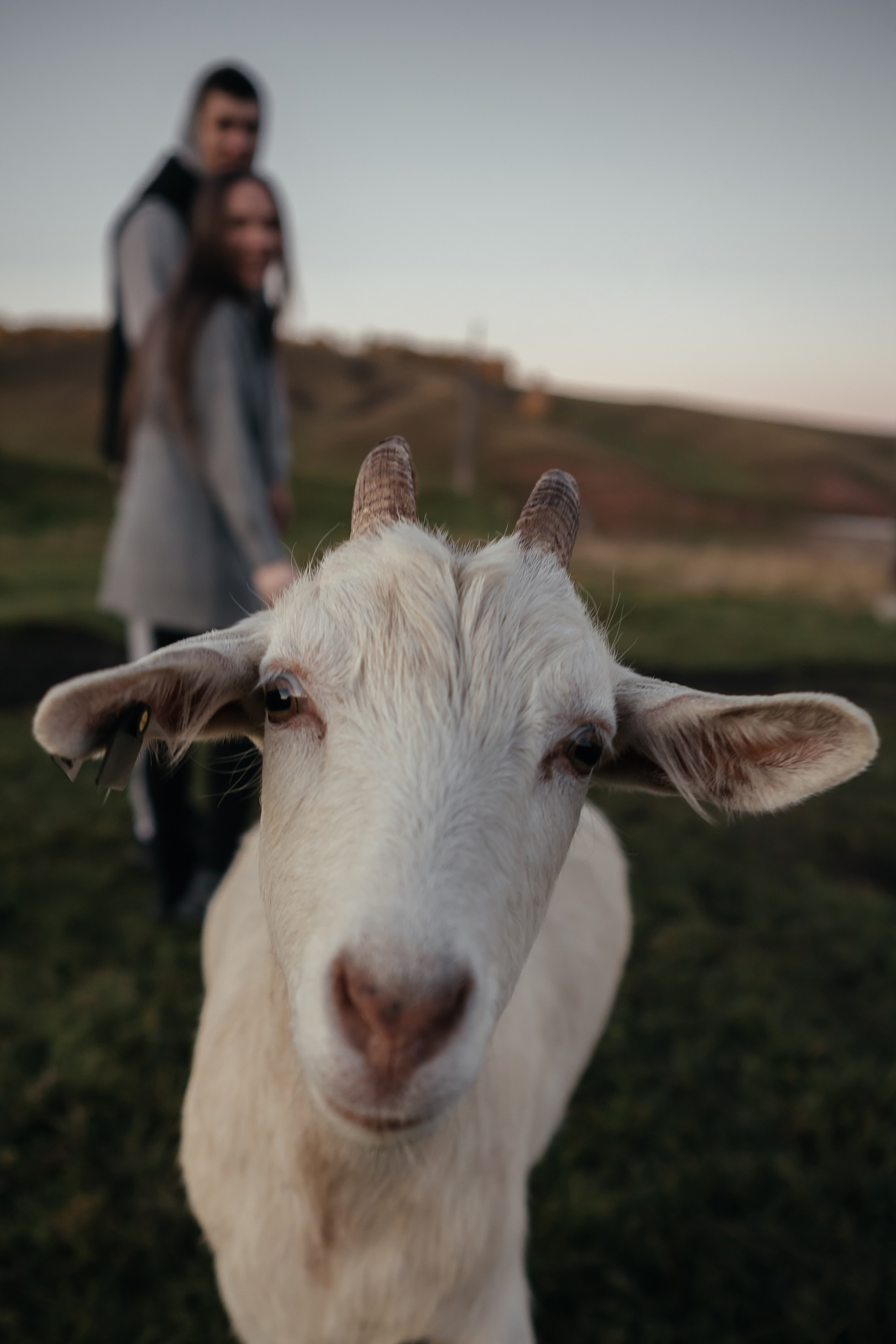 Love story  в Красноярске. Свадебный и семейный фотограф В Красноярске Андрей Юсенков