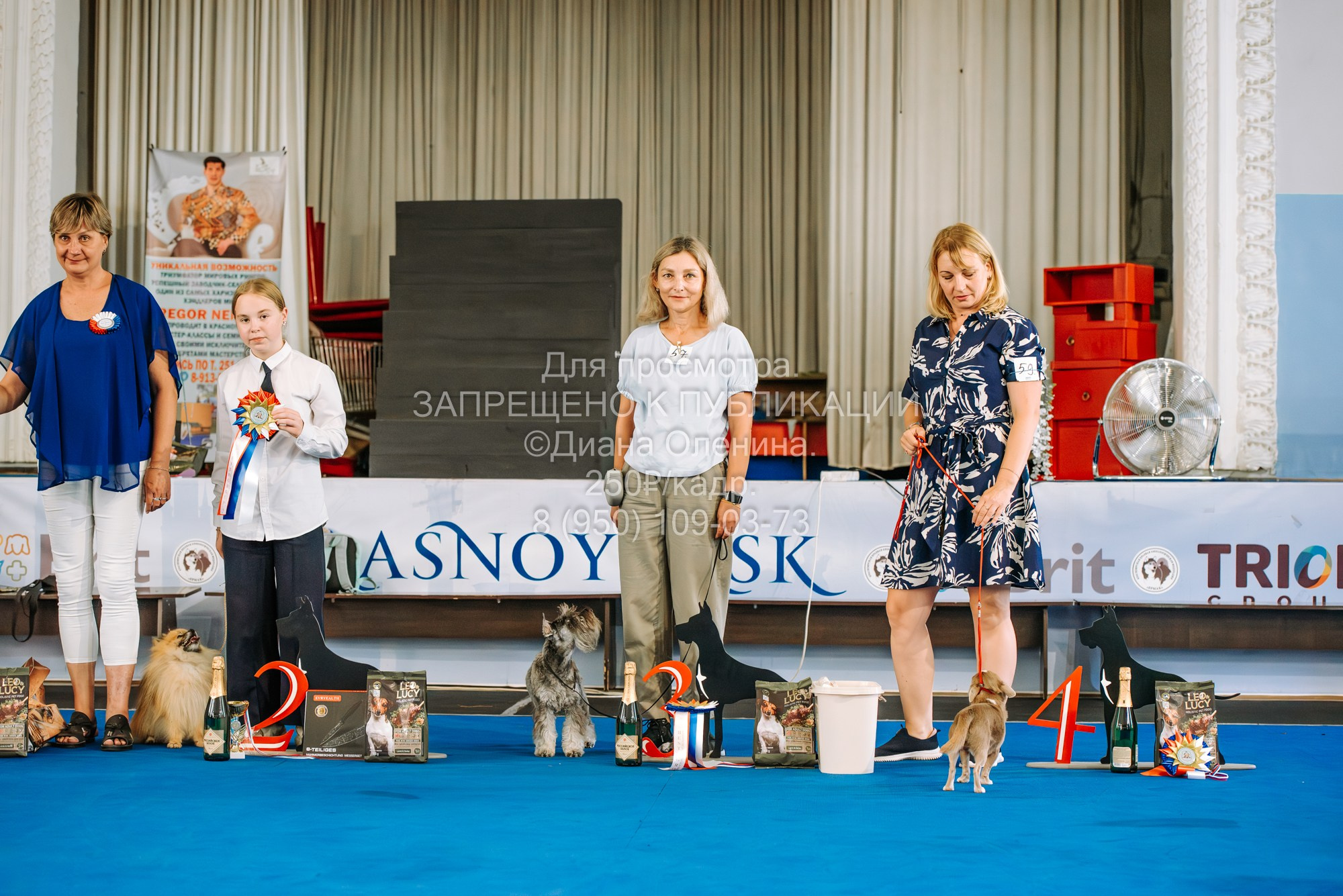 Национальная выставка собак всех пород ранга САС-IKU «Кубок Красноярск. Фотограф Диана Оленина Красноярск / Братск