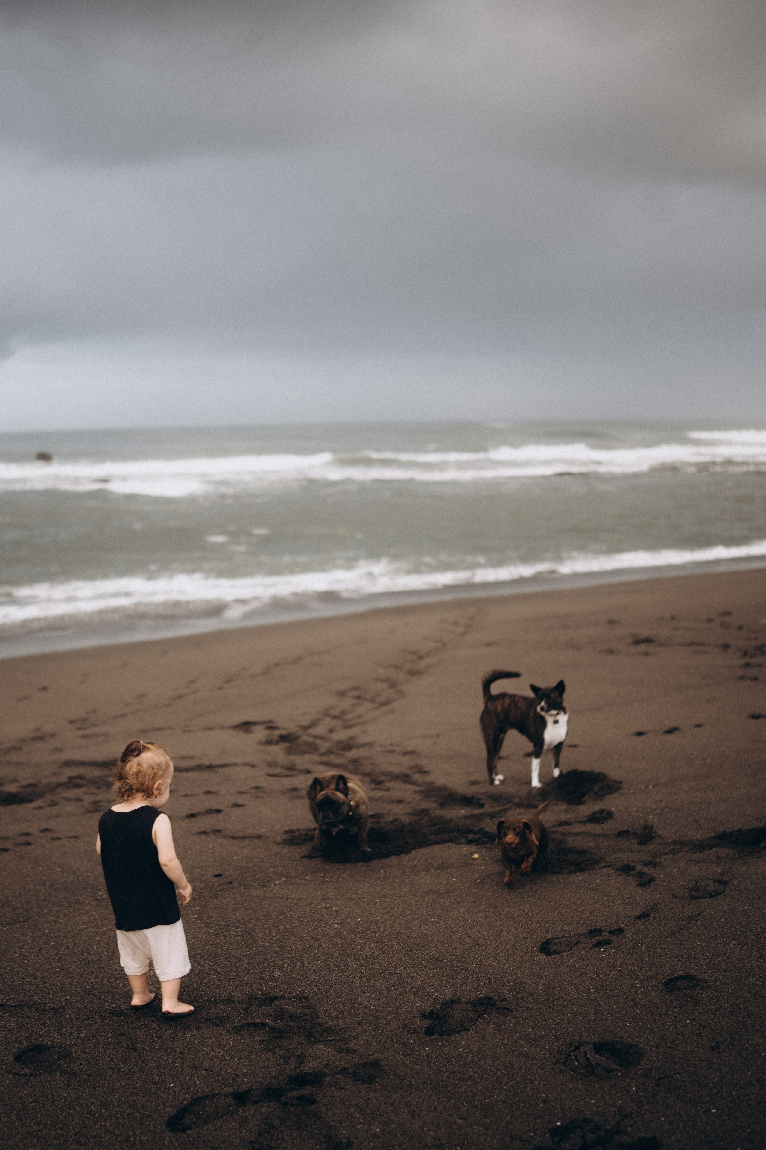 Abdullah, Kate and Daniel. Olga Antipova — photographer