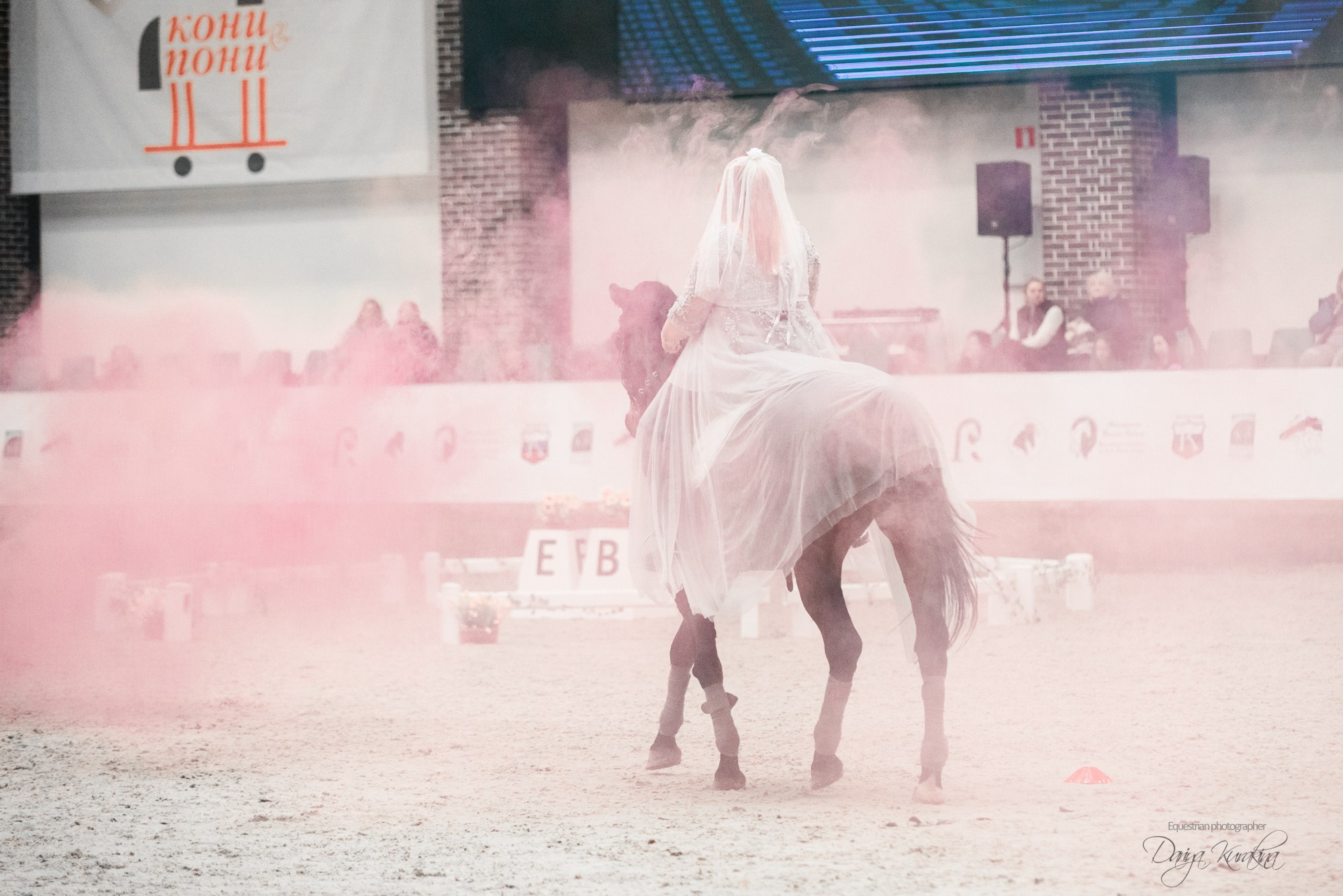 8-я международная выставка Конная Россия. Конный фотограф Куракина Дарья • Фотосессии с лошадьми