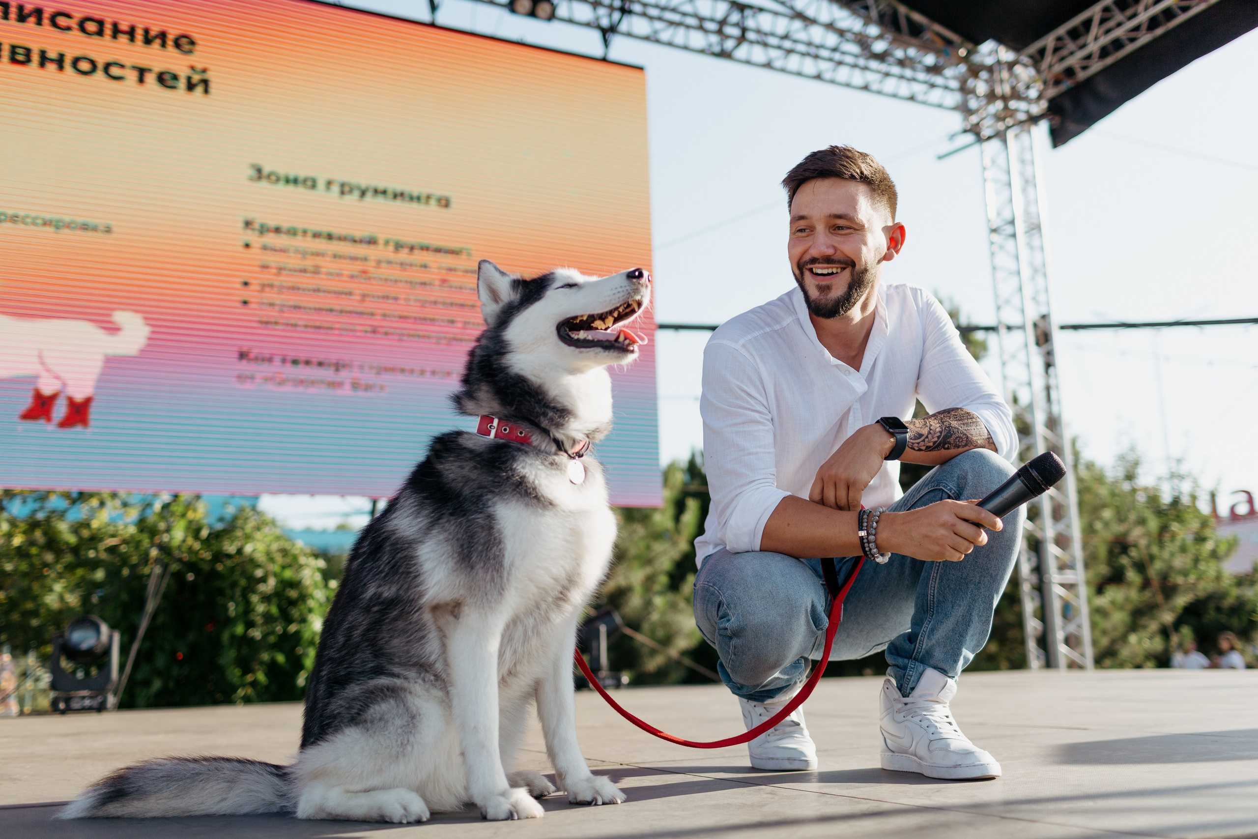 Dog Fest 2024. Главная