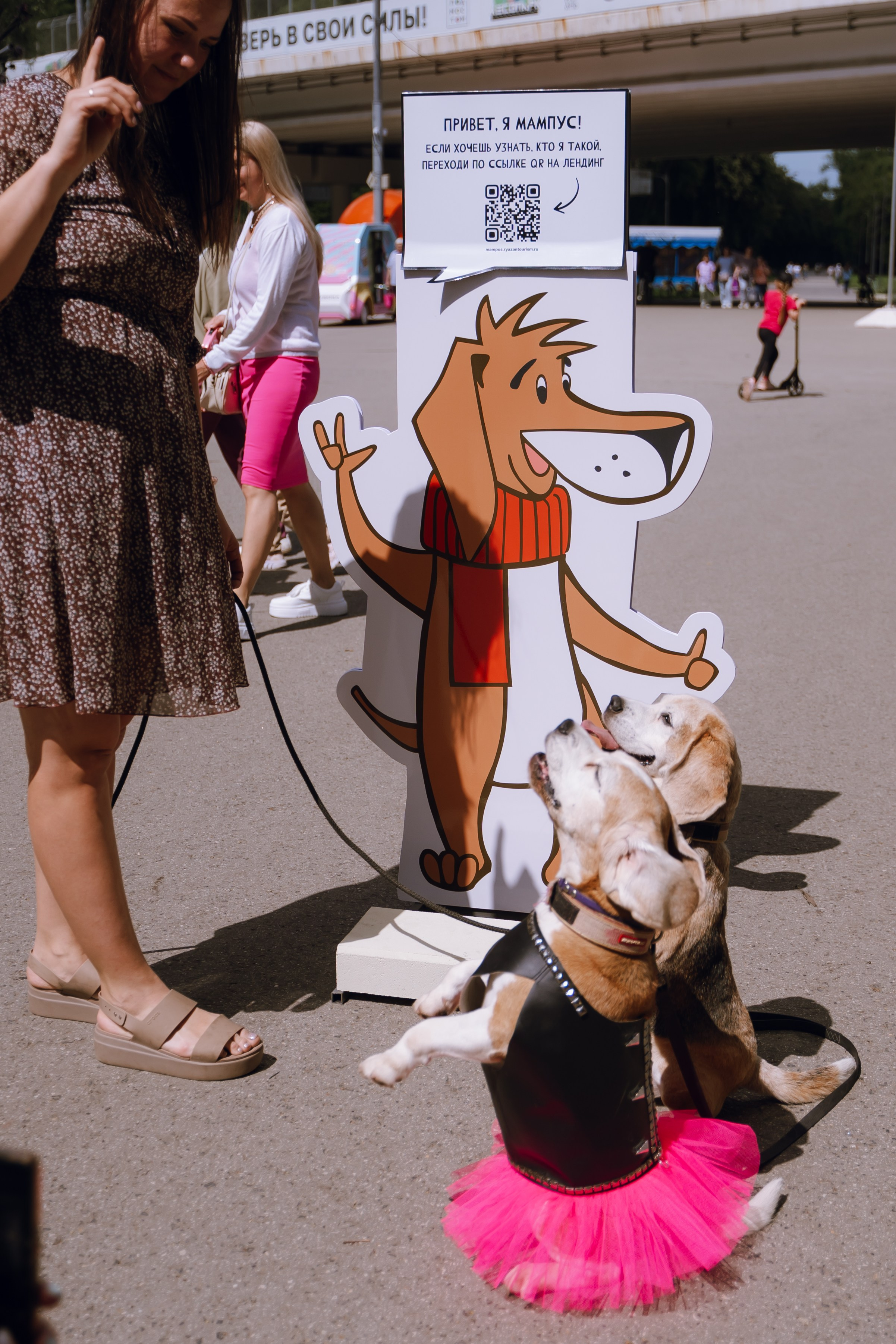 Площадка фестиваля «Мампус и его друзья» в Лесопарке 2025. Фотограф Надежда Погребняк | Рязань | Москва