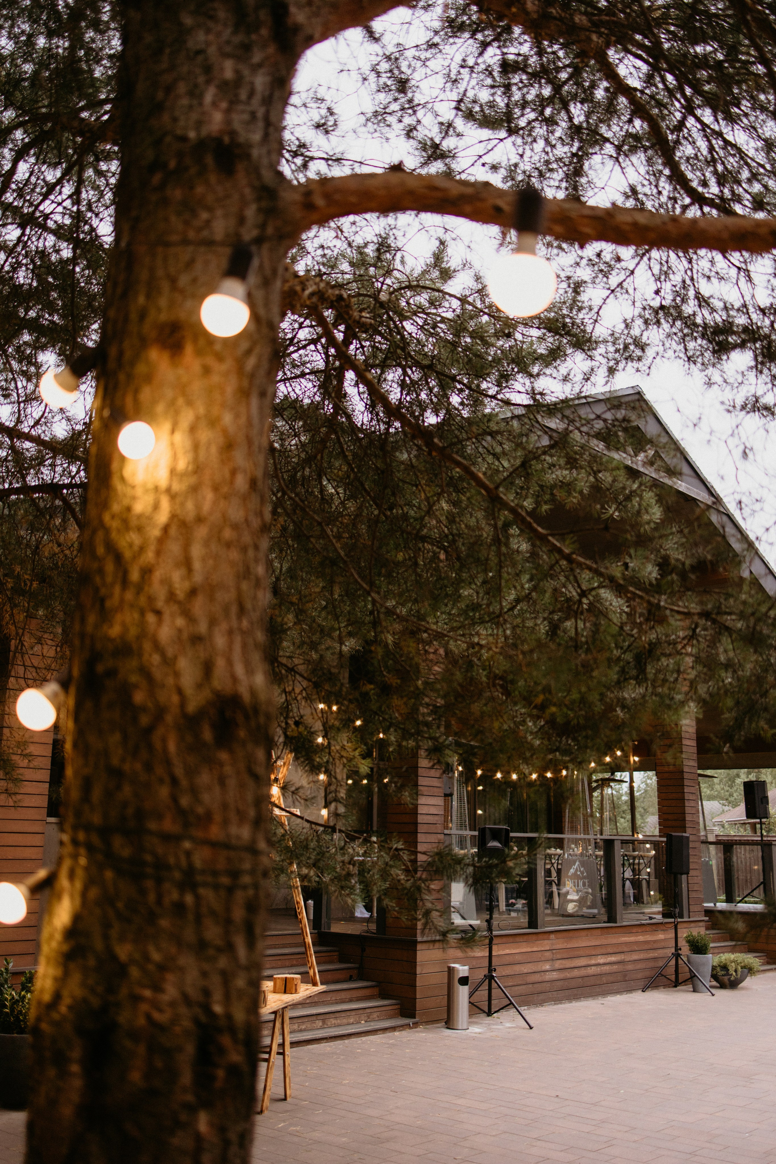 Сева & Таня | DELICE CHALET. Свадебный фотограф в Минске Владислав Бабич