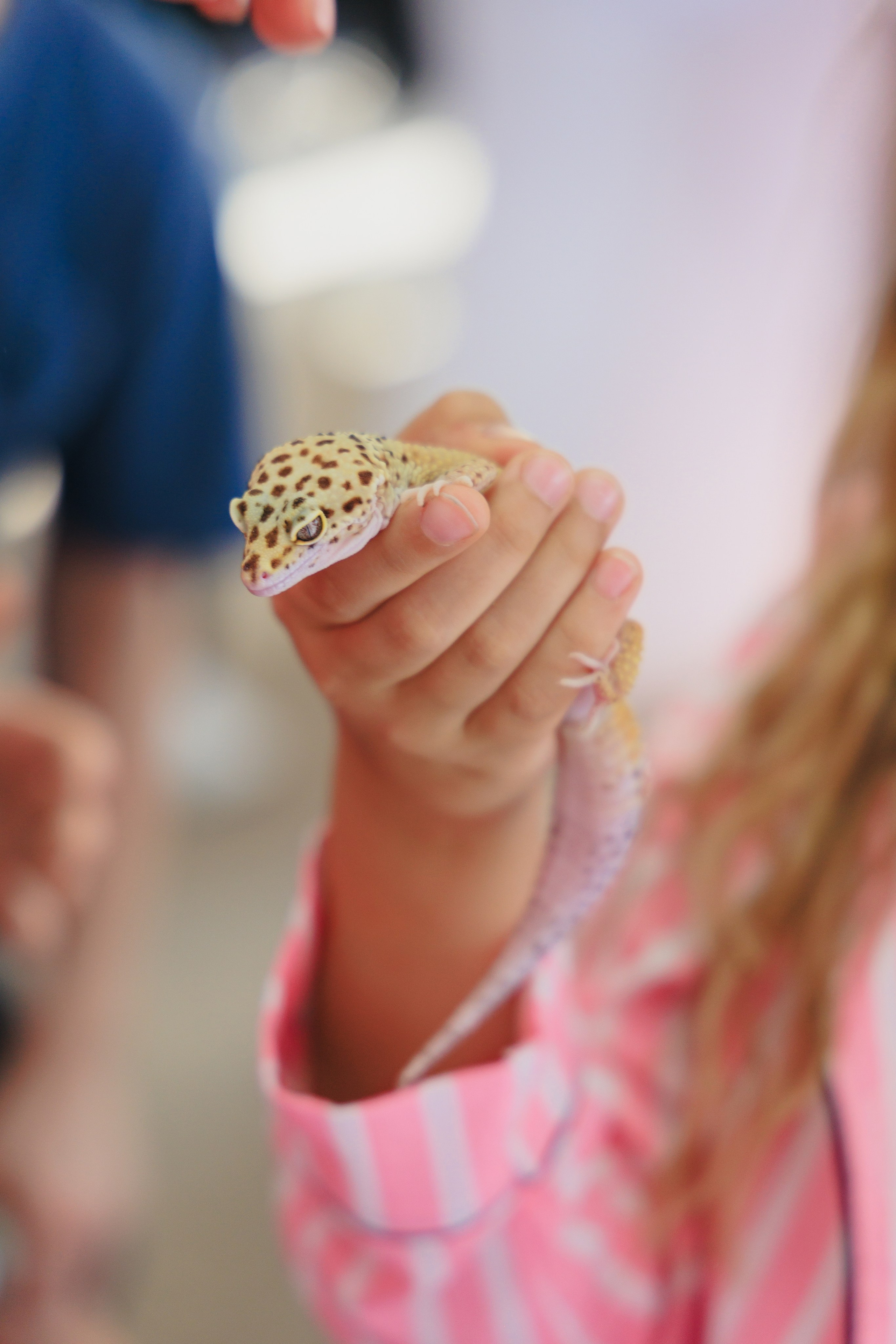 Злате 7 лет | Пуговка. Свадебный фотограф в Минске Владислав Бабич