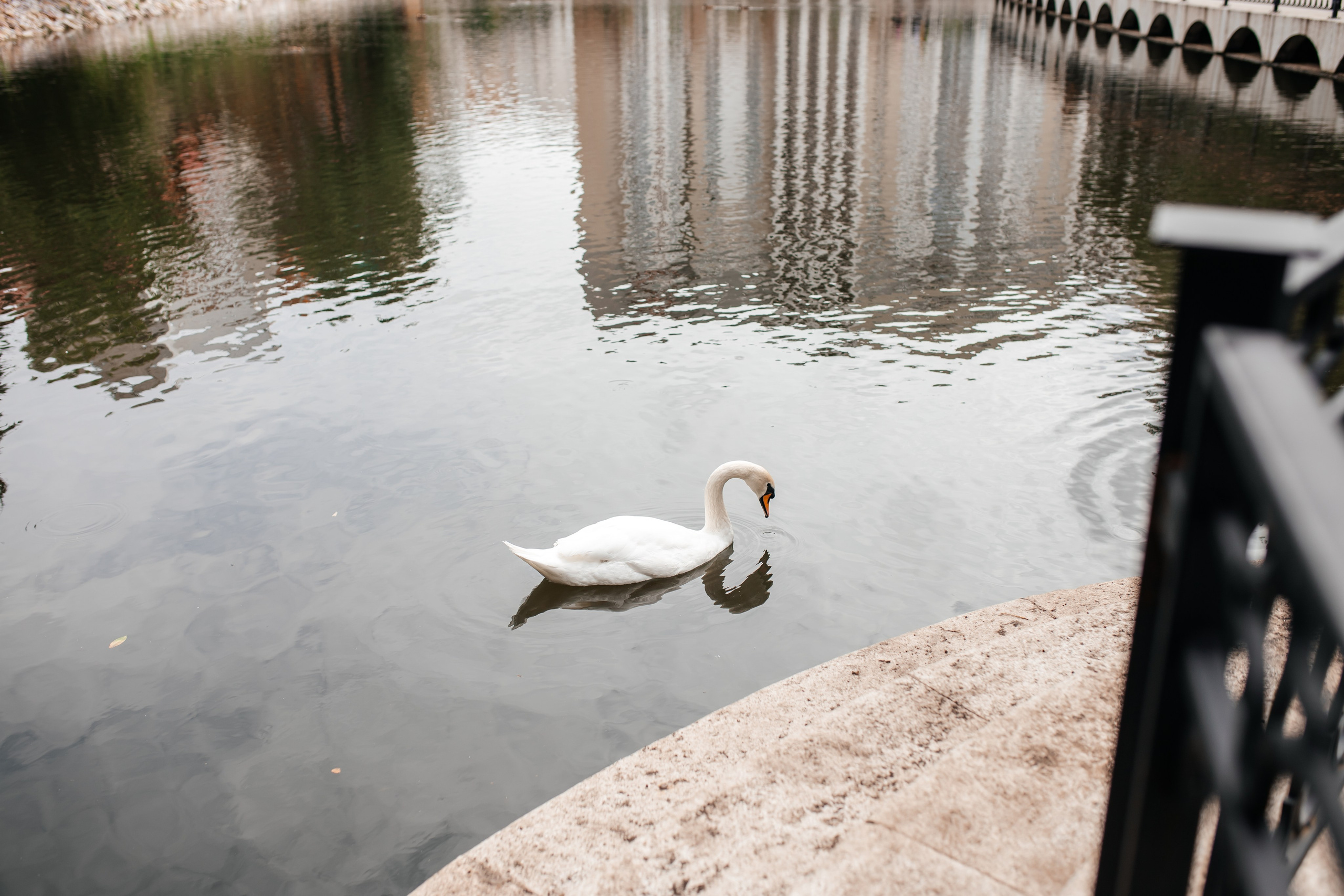 Артур и Ульяна. Марина Шаймухаметова. Фотограф в Уфе
