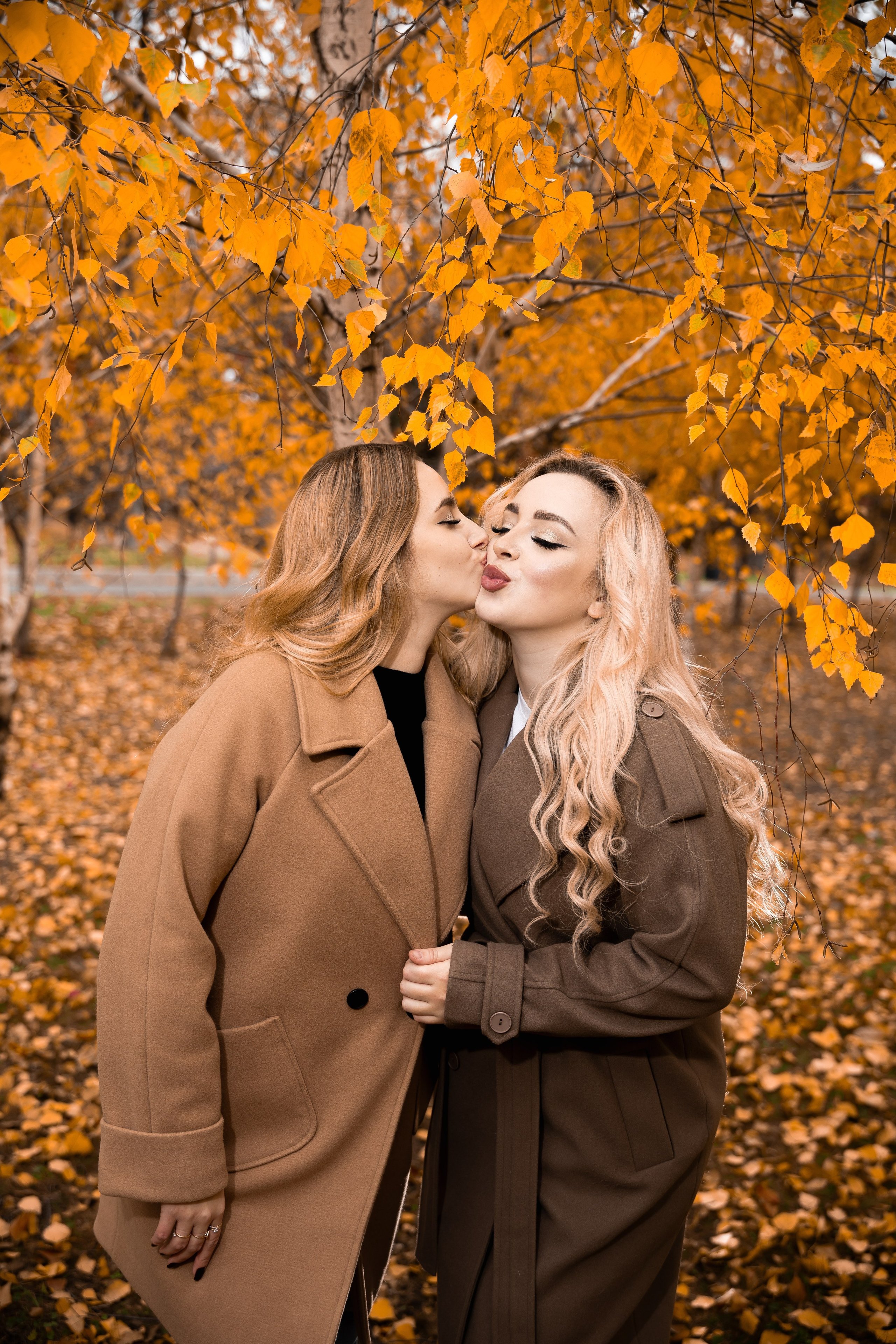 Осень. Фотограф в Донецке Кармазин Александр