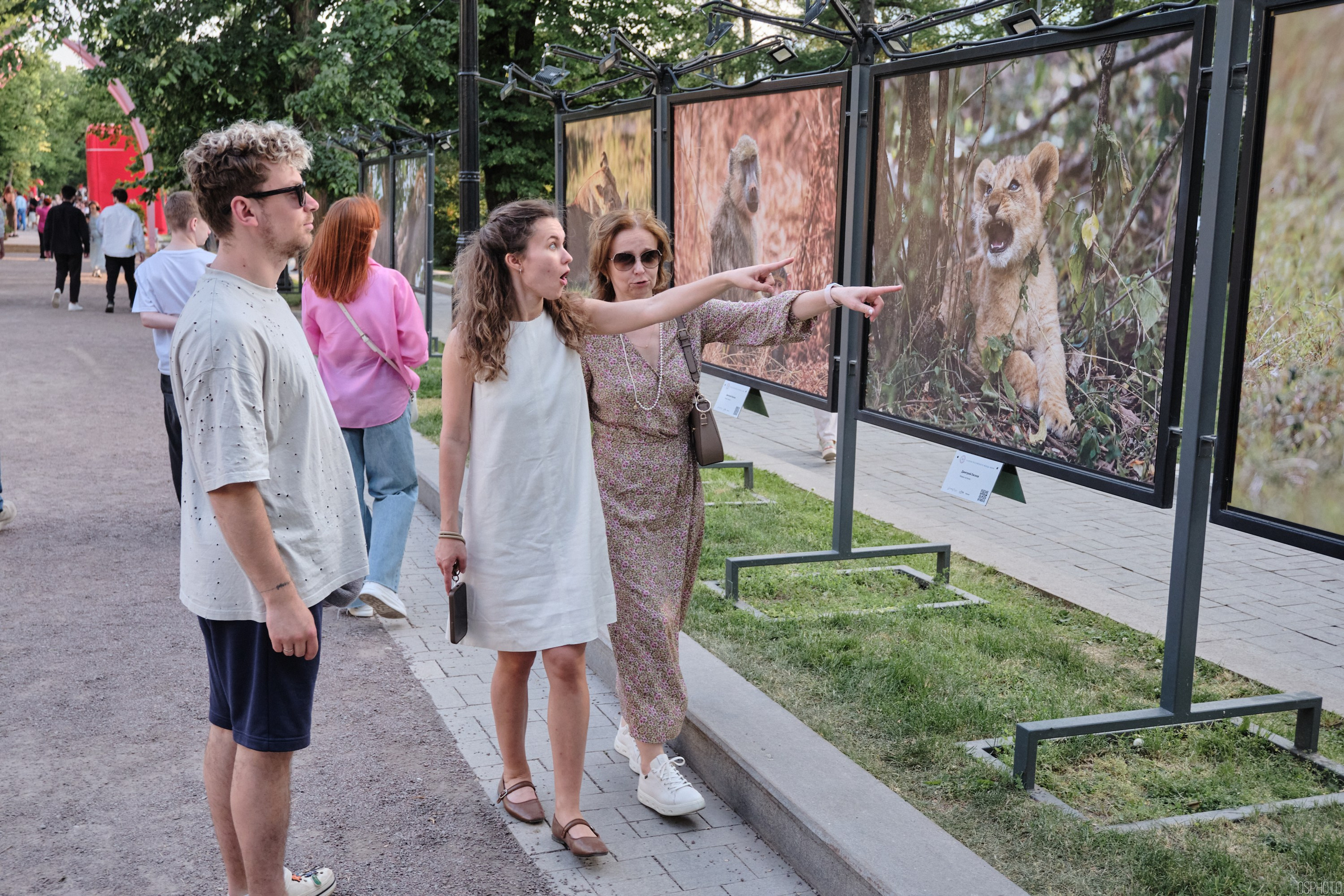 Бульвары для всех l Лето в Москве. Фотографъ Сергѣевъ. Поймать мгновеніе