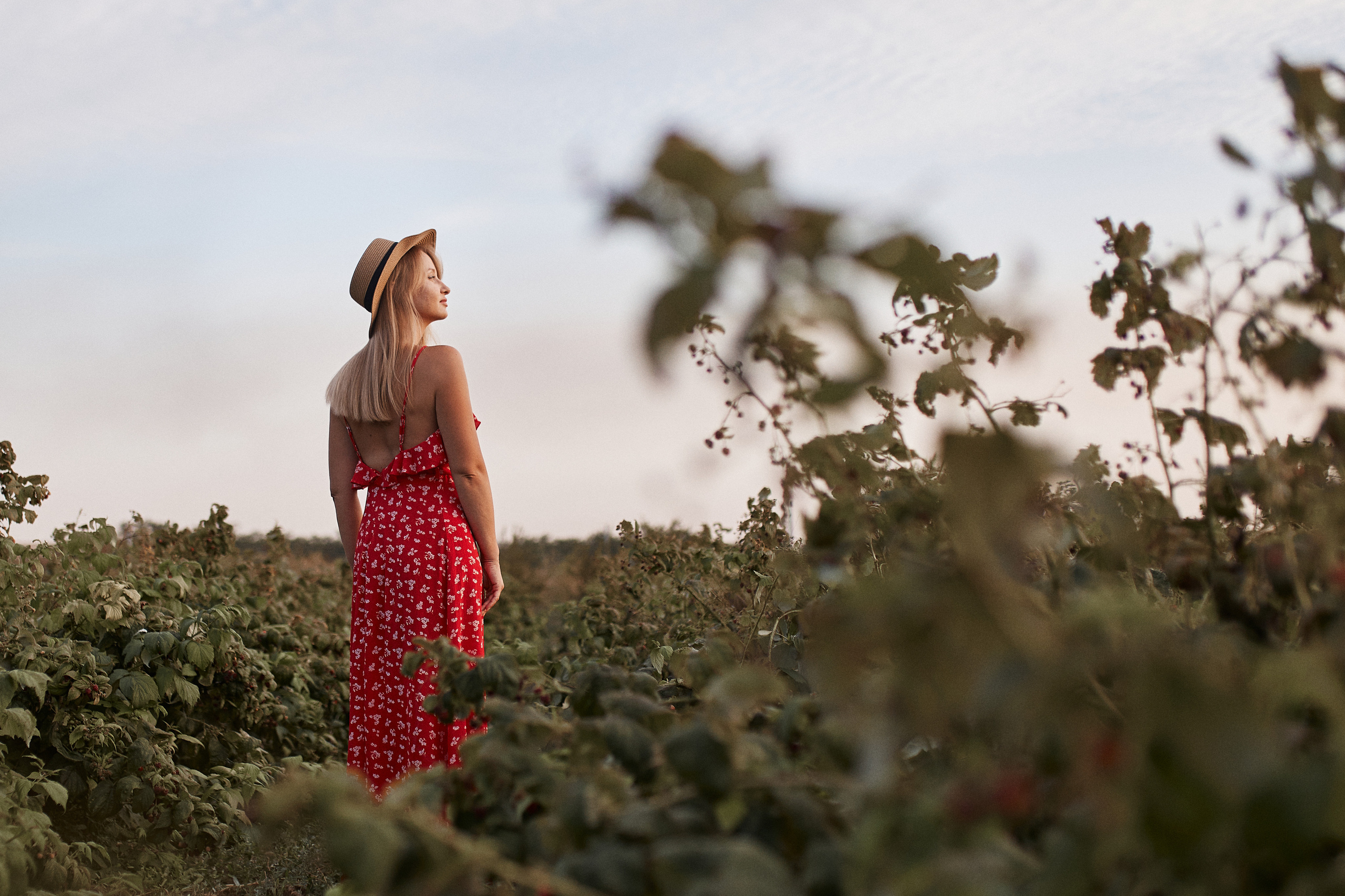 Отзывы о моей работе. Свадебный фотограф Ерхов Антон
