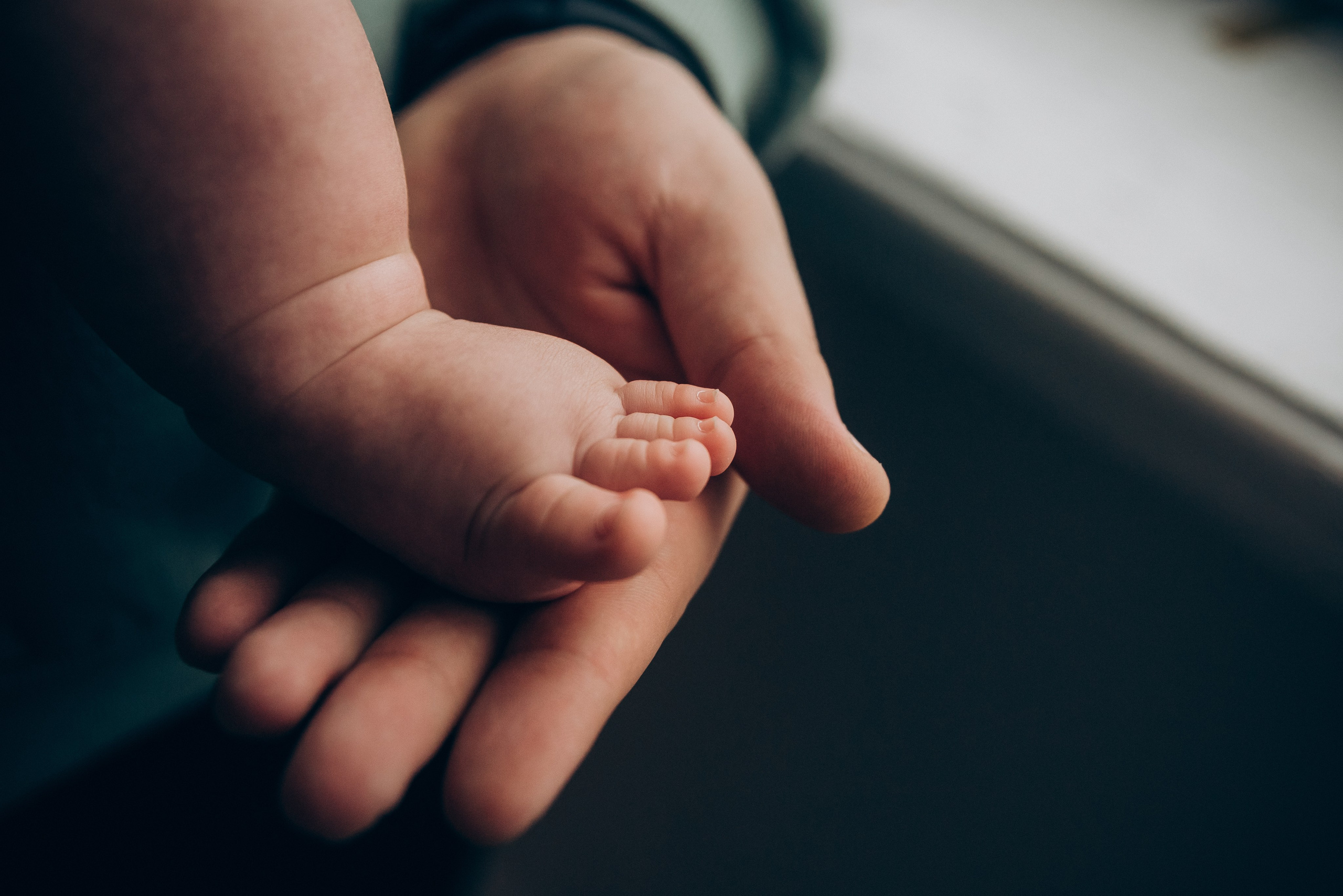 Оля, Саша и Миша. Свадебный и семейный фотограф в городе Смоленске