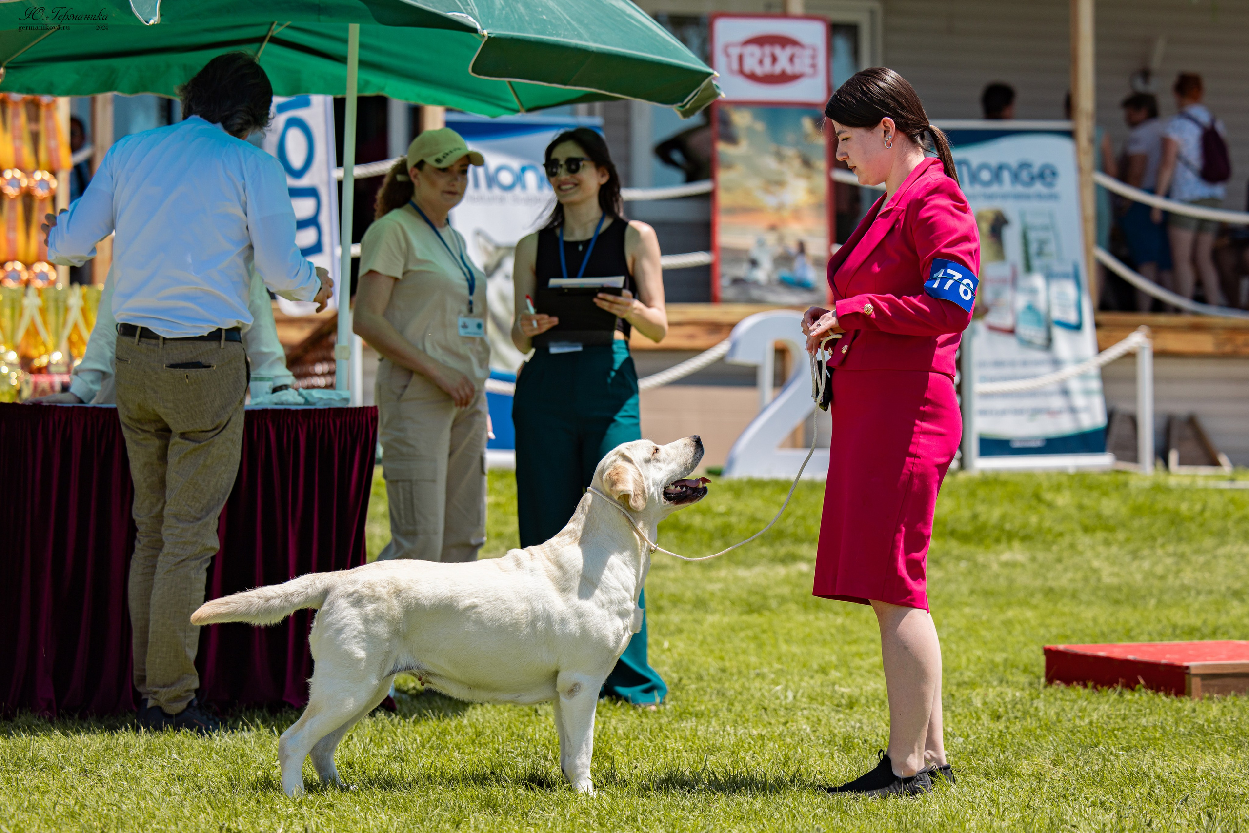 Ереван 3-5.06.2024. Фотограф-анималист Юлия Германика