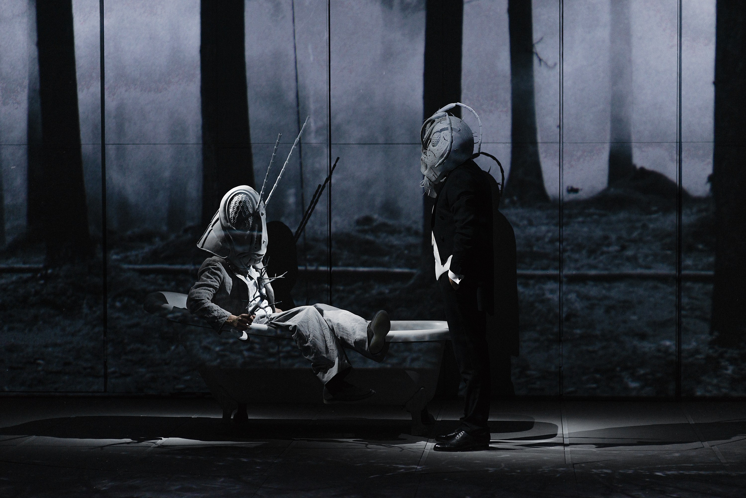 «СВЕРЧОК». Фотограф Александра Дмитриевская