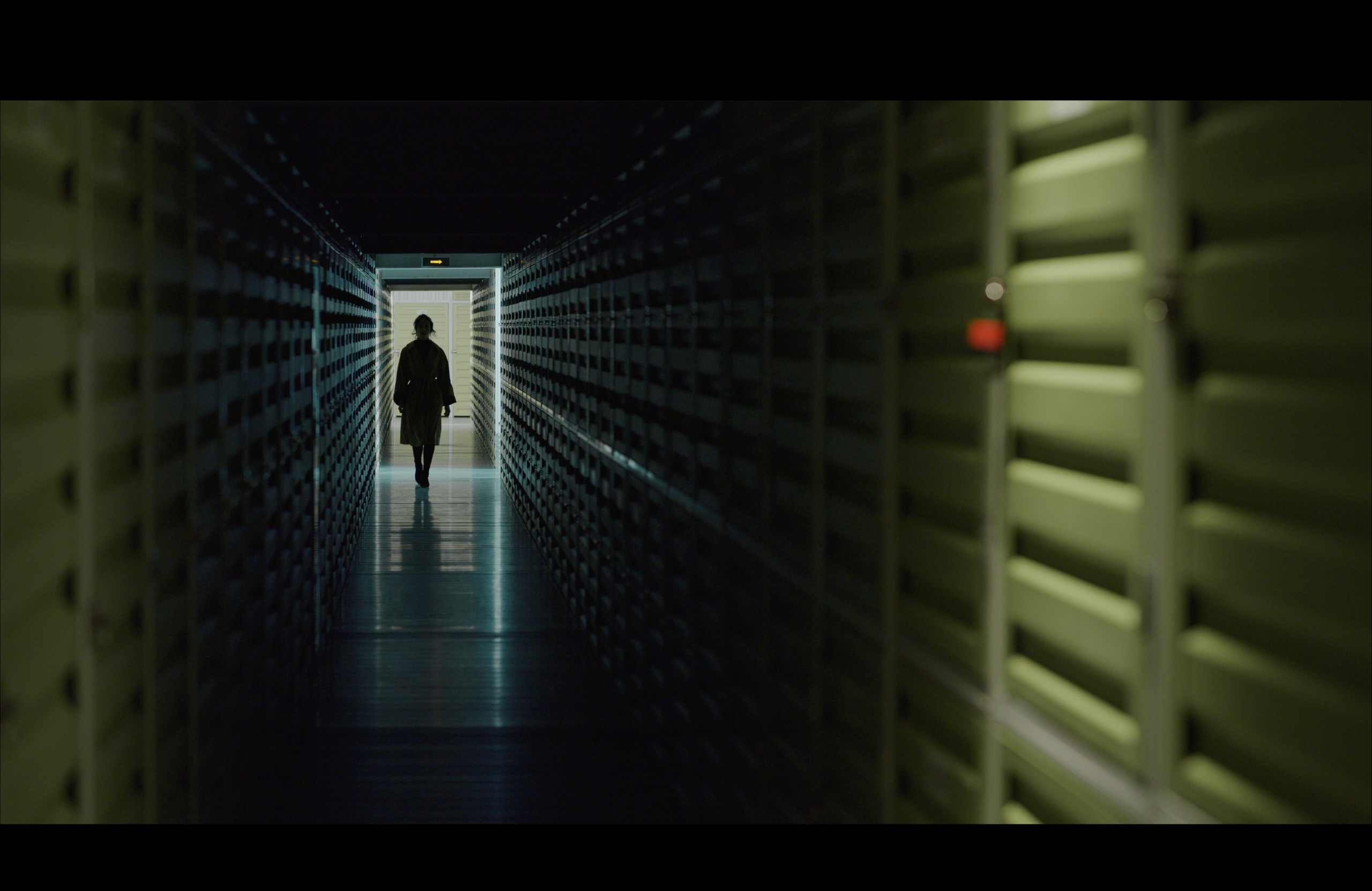 584. DOP Yulia Popova