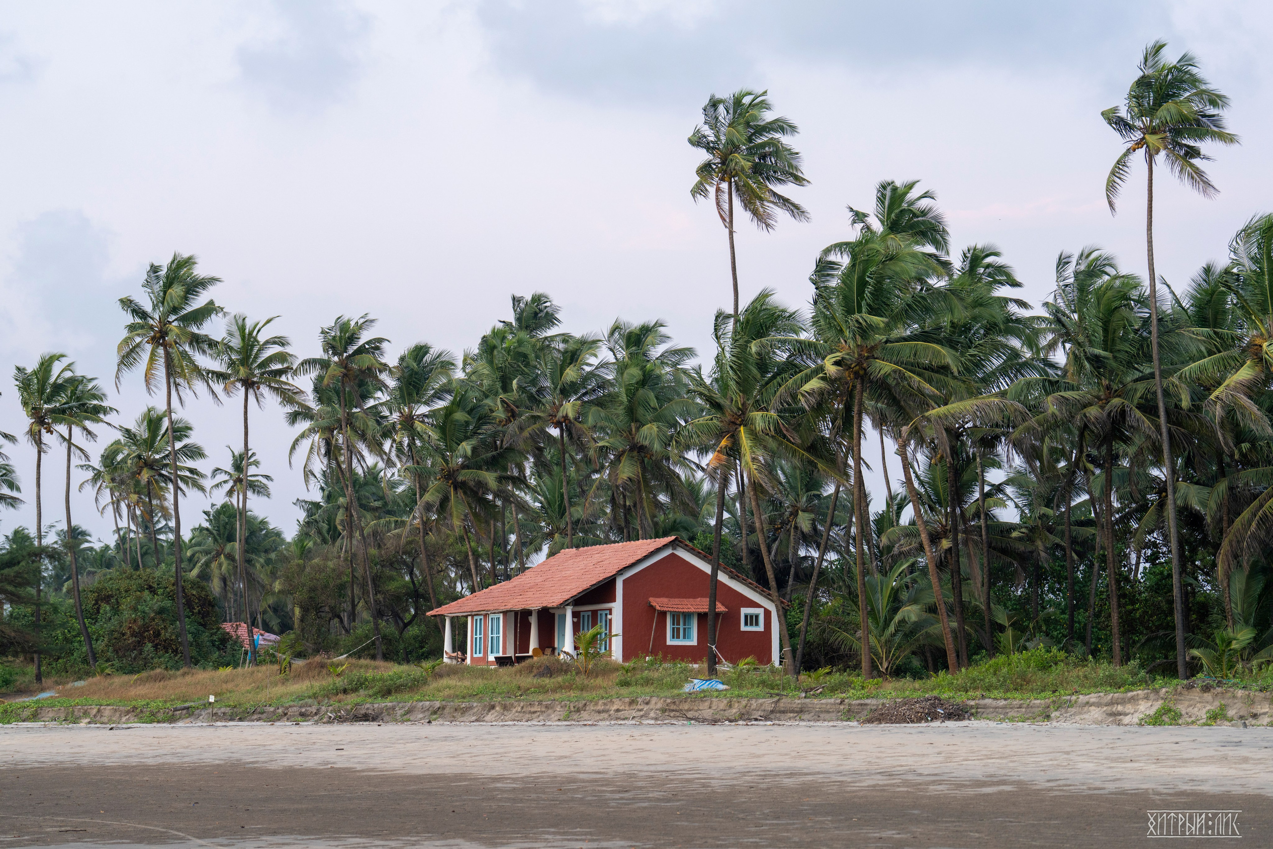 Гоа-Мумбаи. Фотограф-путешественник Самойлов Максим «Sly Fox»
