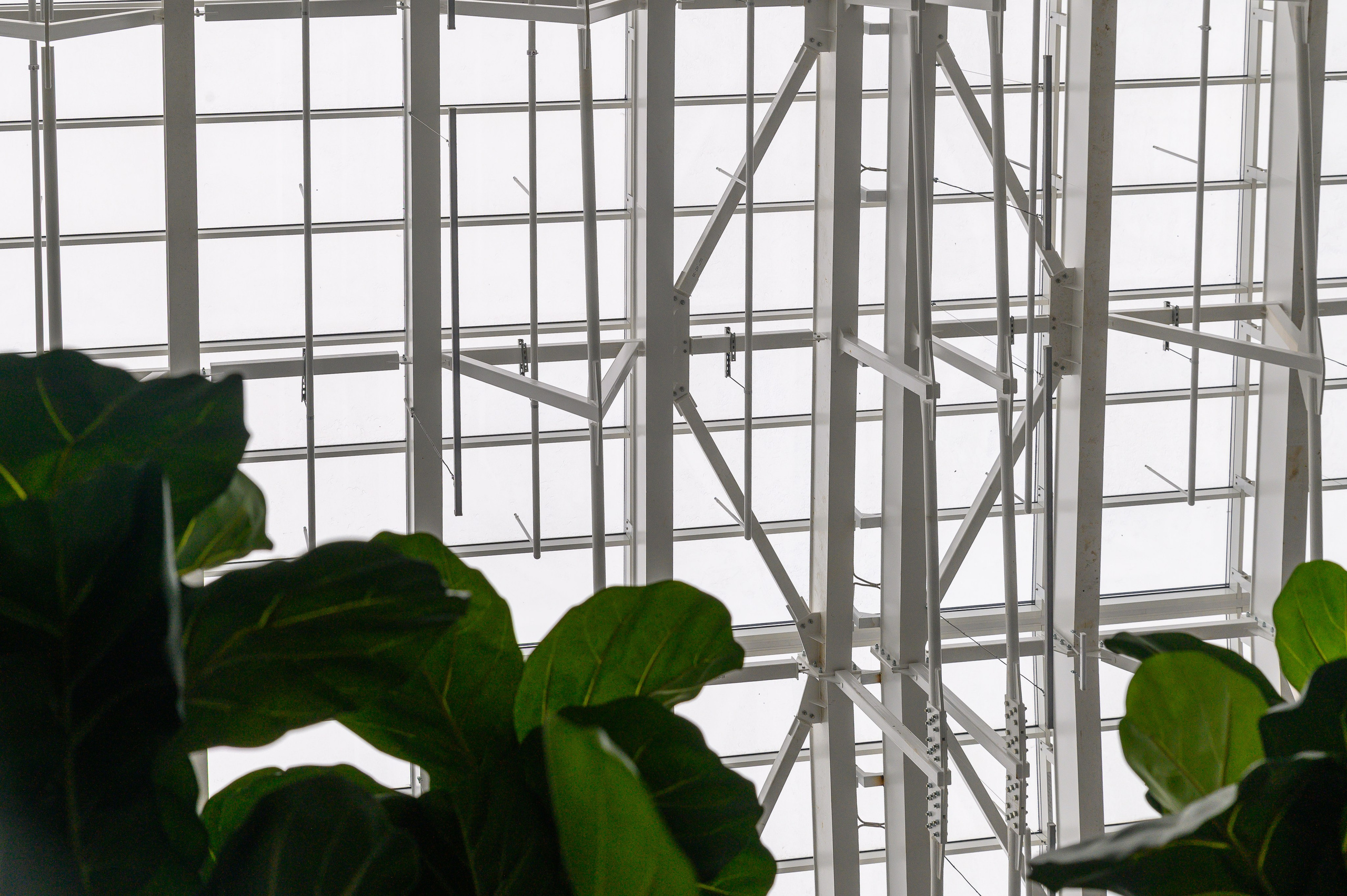 BelExpo. Фотоуслуги, услуги фотографа, фотографирование важных событий