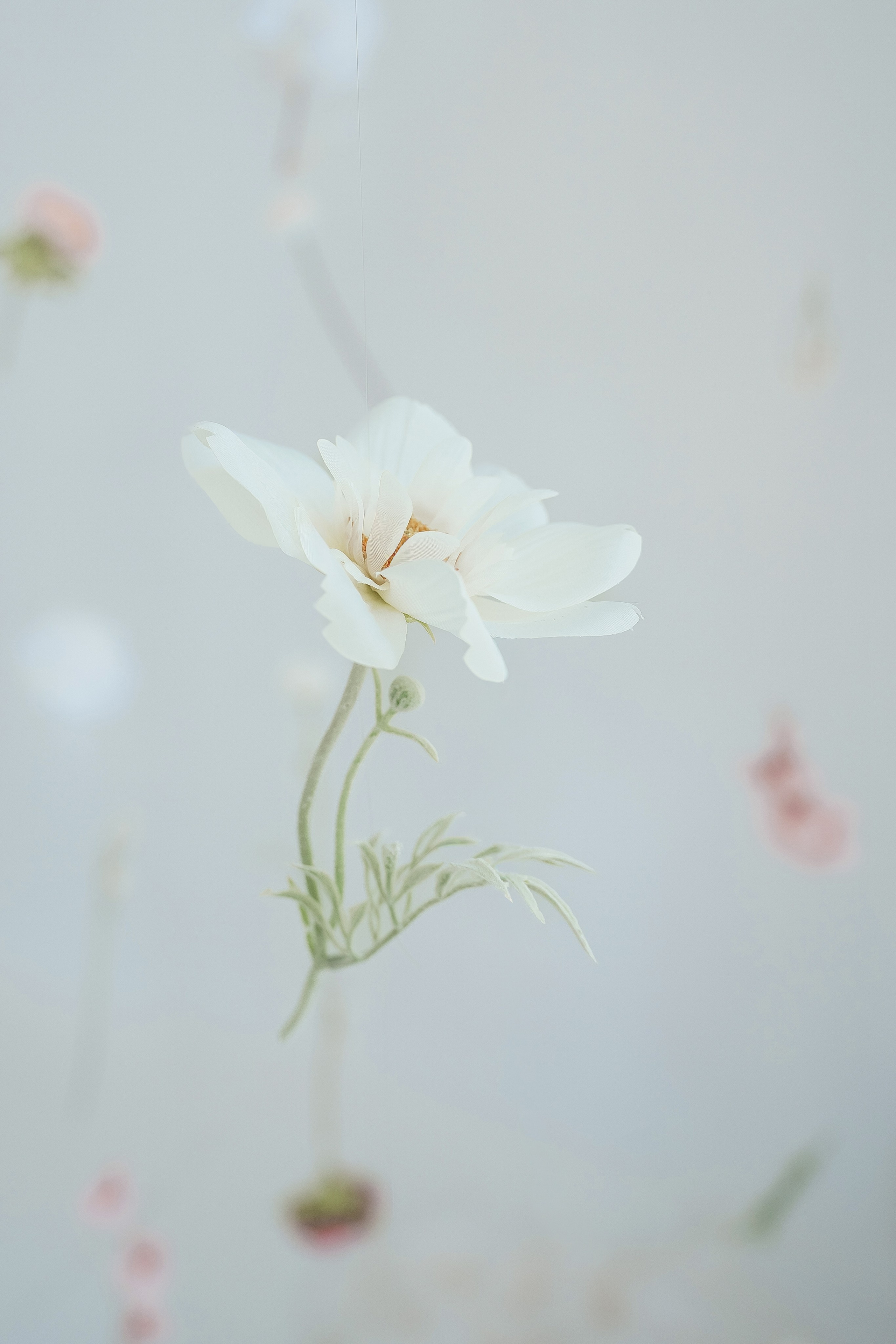 Маленькие чудеса. Семейный фотограф