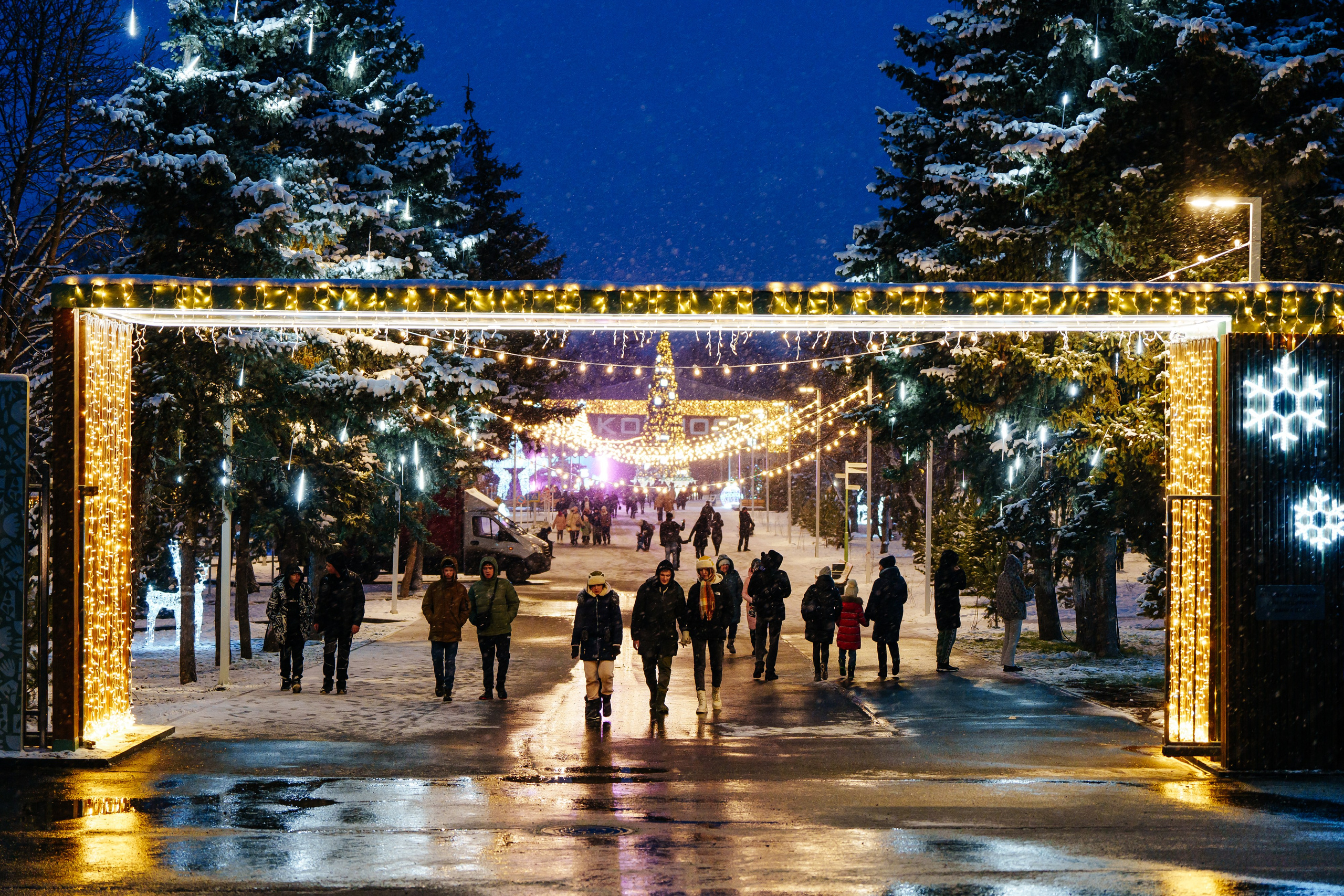 Открытие парка в Луганске. Студия событий ДЕЙЗИ. Организация мероприятий. Свадебное агентство в Ростове-на-Дону. Свадебный организатор. Организация свадьбы под ключ
