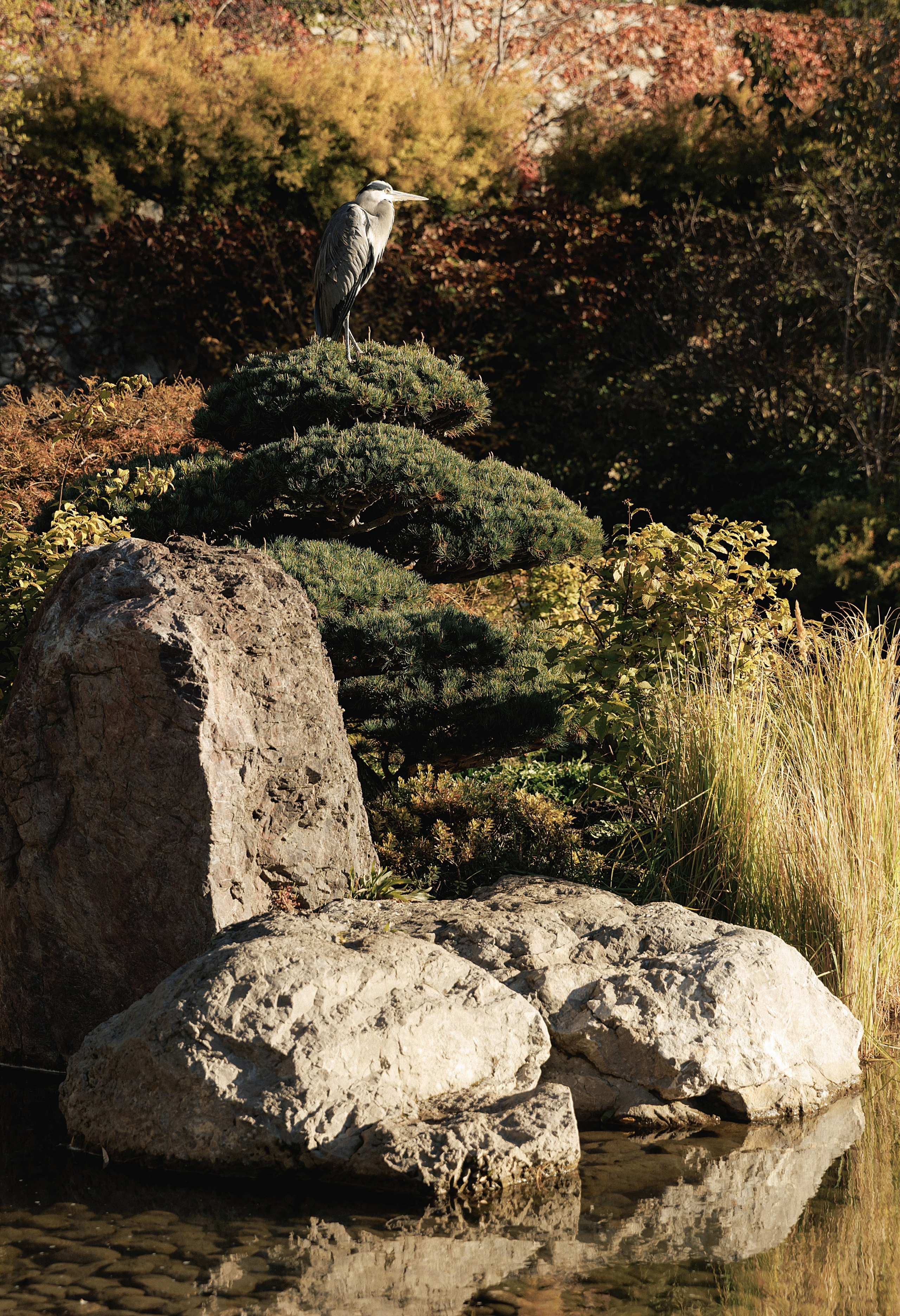 Olya & Dima. Свадебный фотограф в Севастополе и Крыму| Tanya Sher