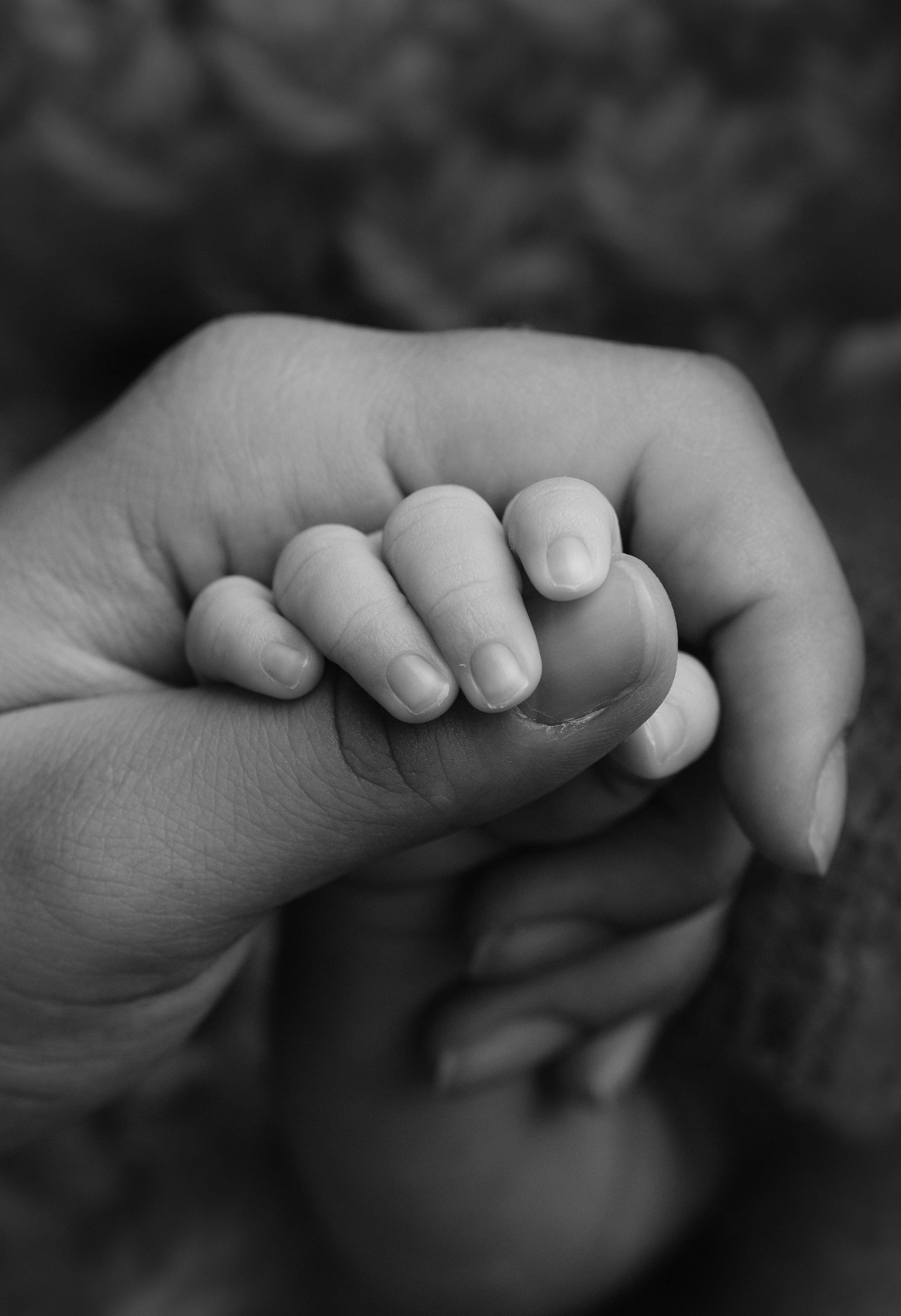 Макро. Фотограф Новорожденных во Владивостоке Ольга Галаницкая