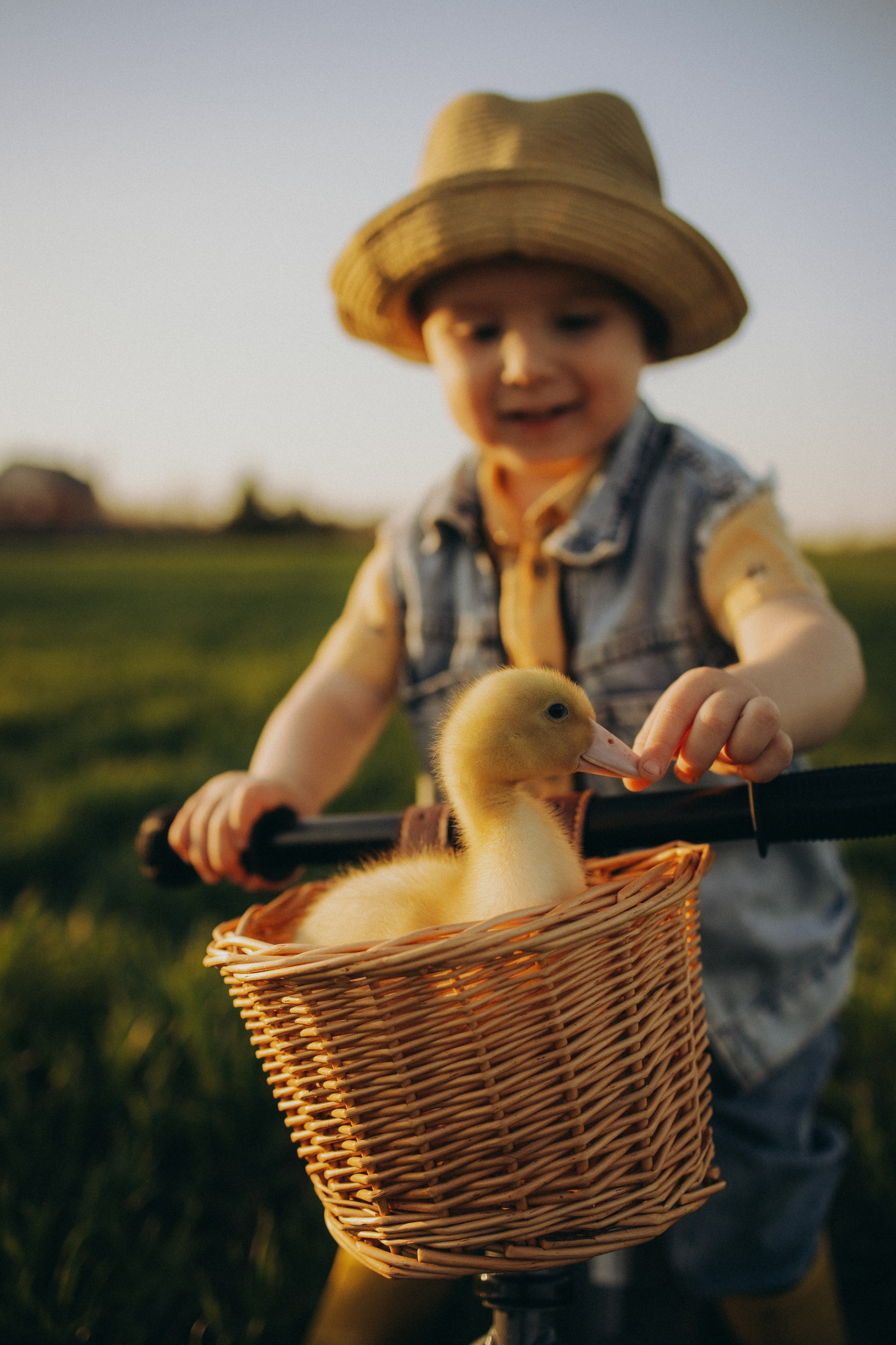 Фотосессия в поле. ОБО МНЕ
