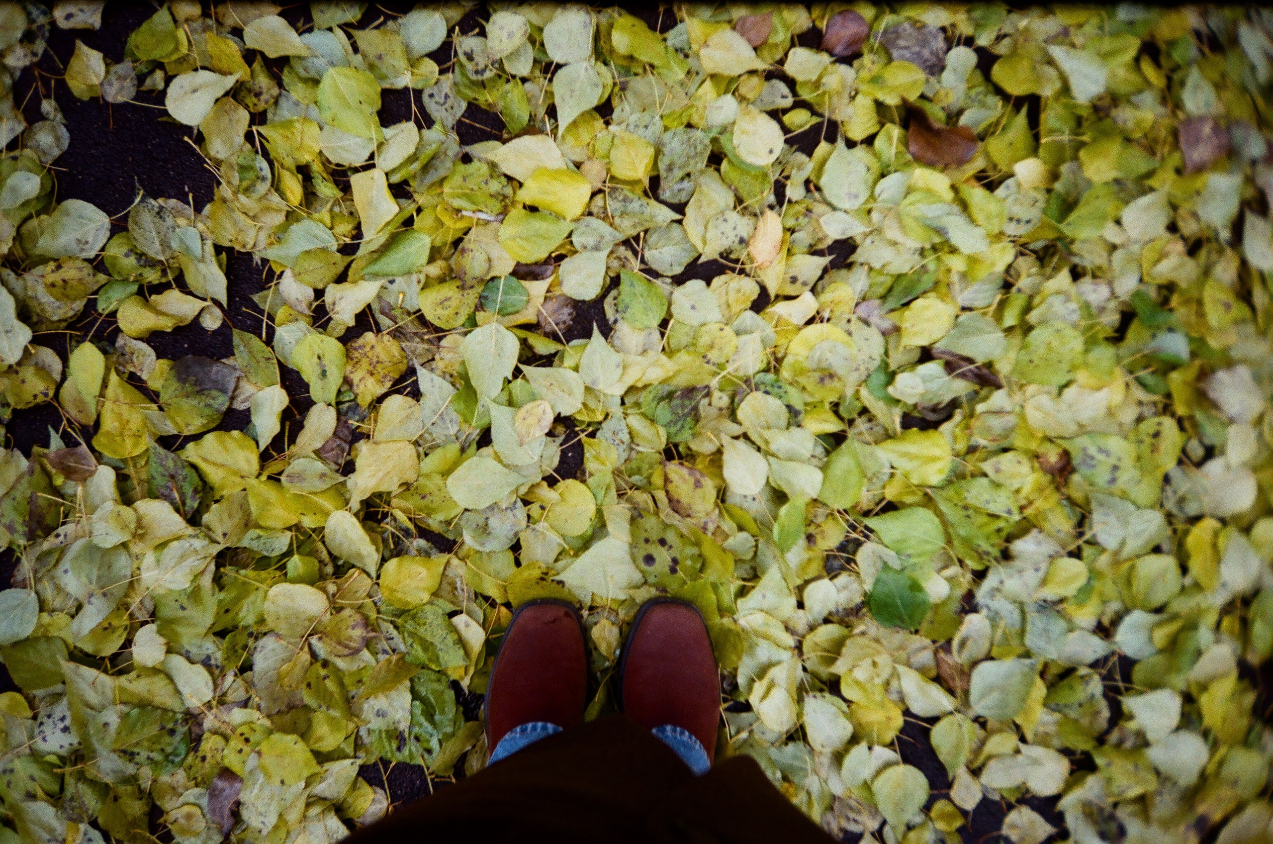Winter is coming. ELINA VLADI
