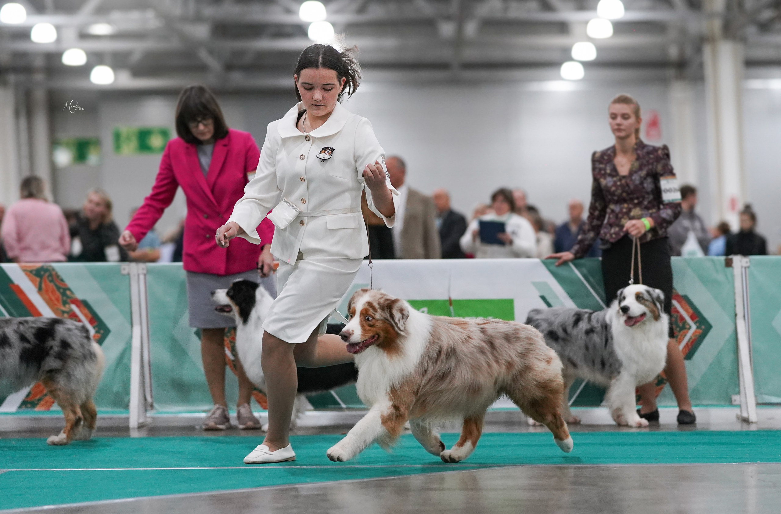Выставки 2024. Фотограф-анималист в Санкт-Петербурге Яна Мартынова