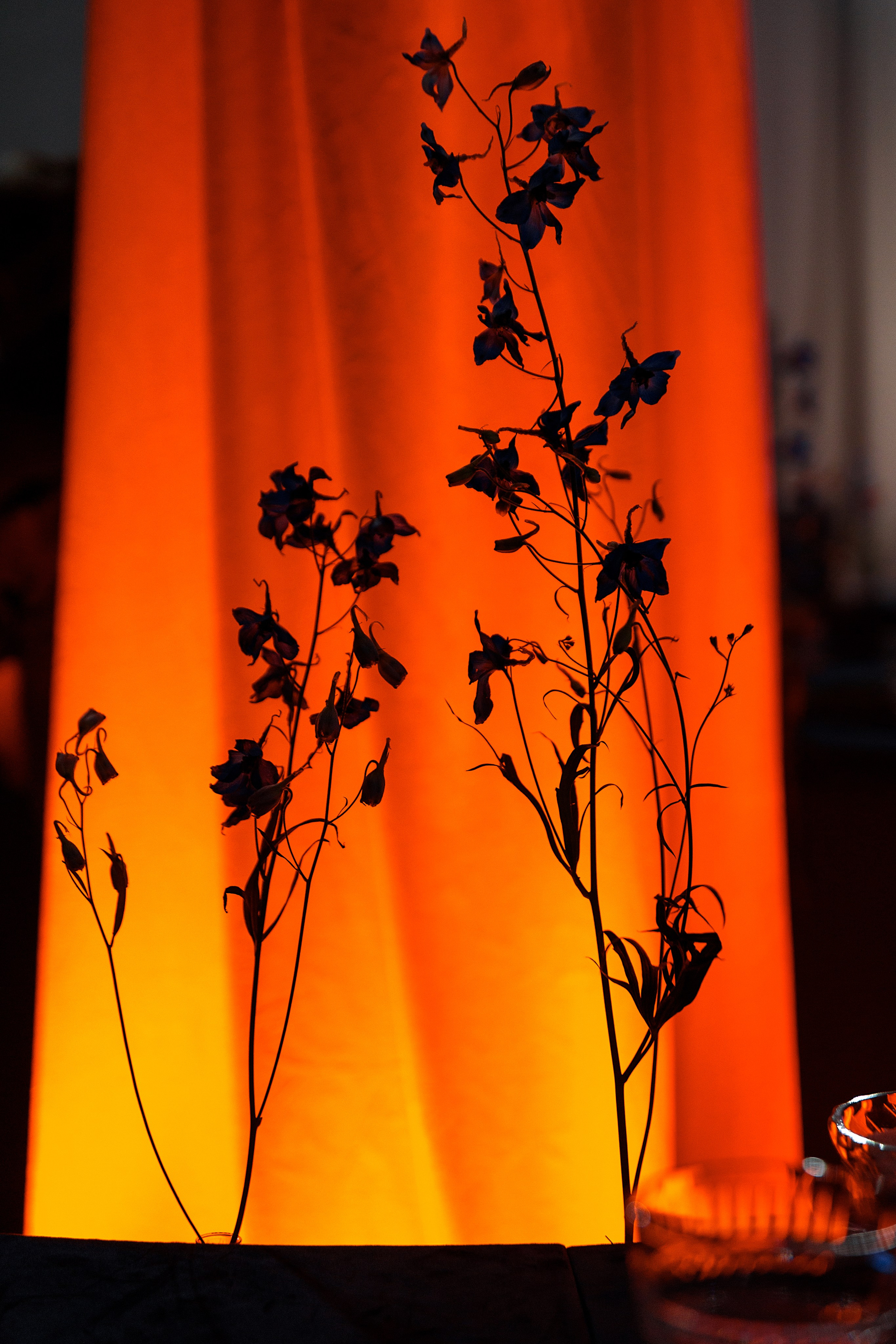 Дима и Диана. Свадебный и семейный фотограф Алимова Леся