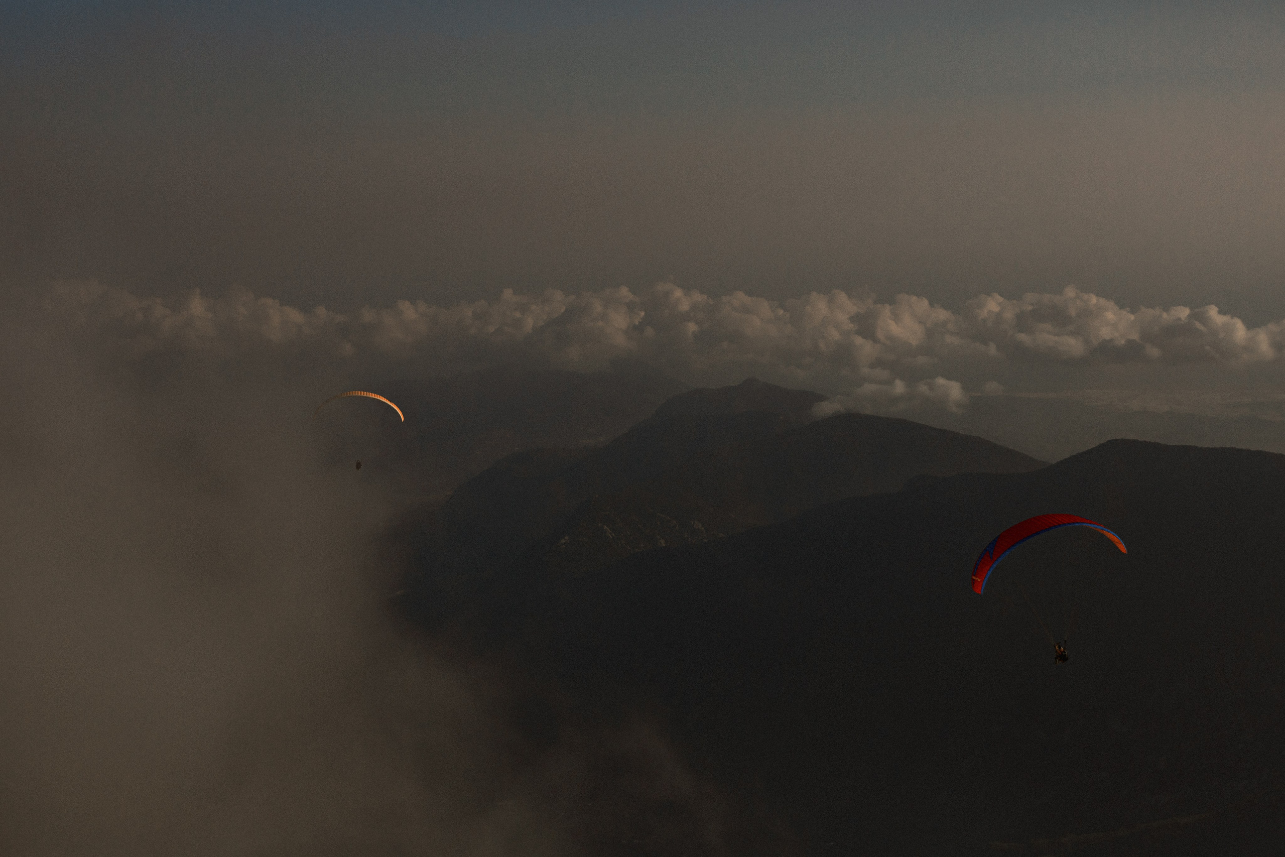 What is beauty | for the VOGUE competition. Egor Plakhotin Photography